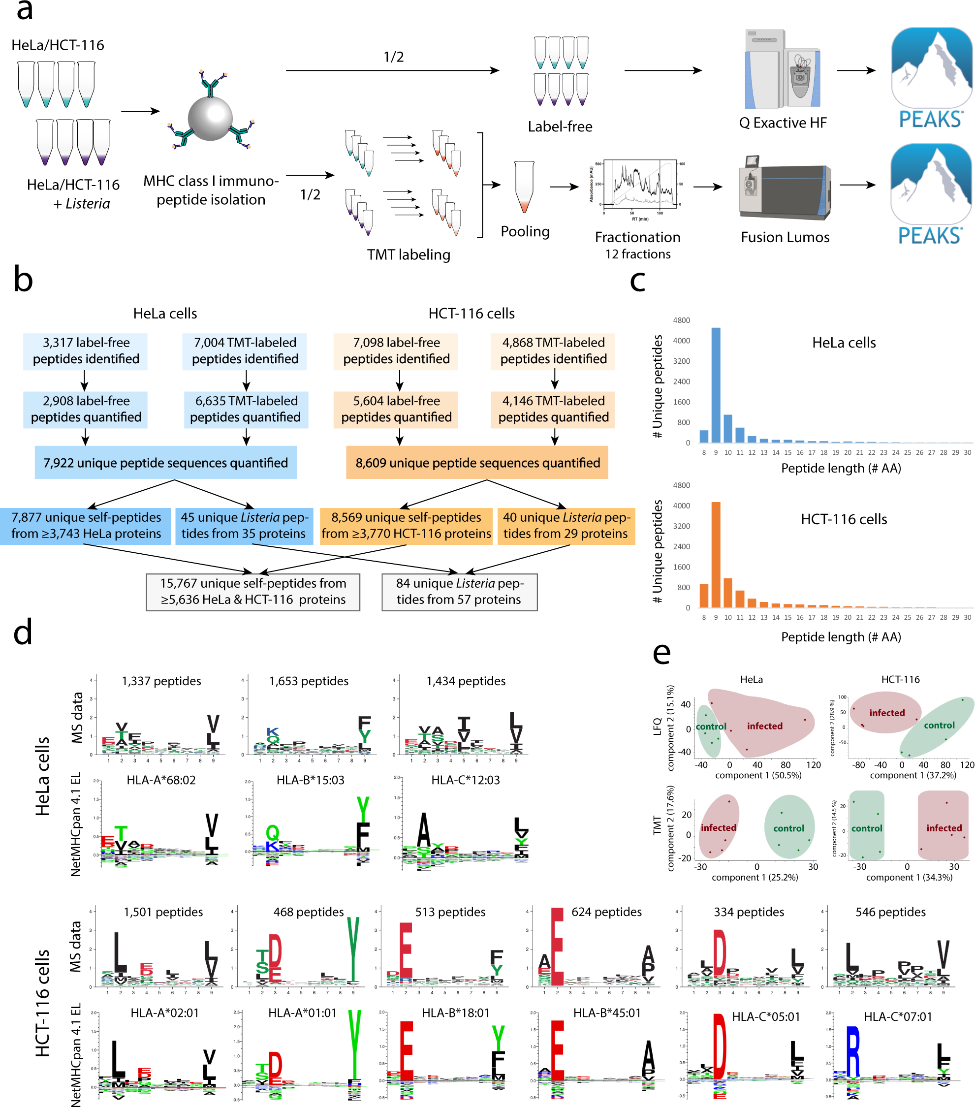 Immunopeptidomics-based design of mRNA vaccine formulations against  Listeria monocytogenes | Nature Communications