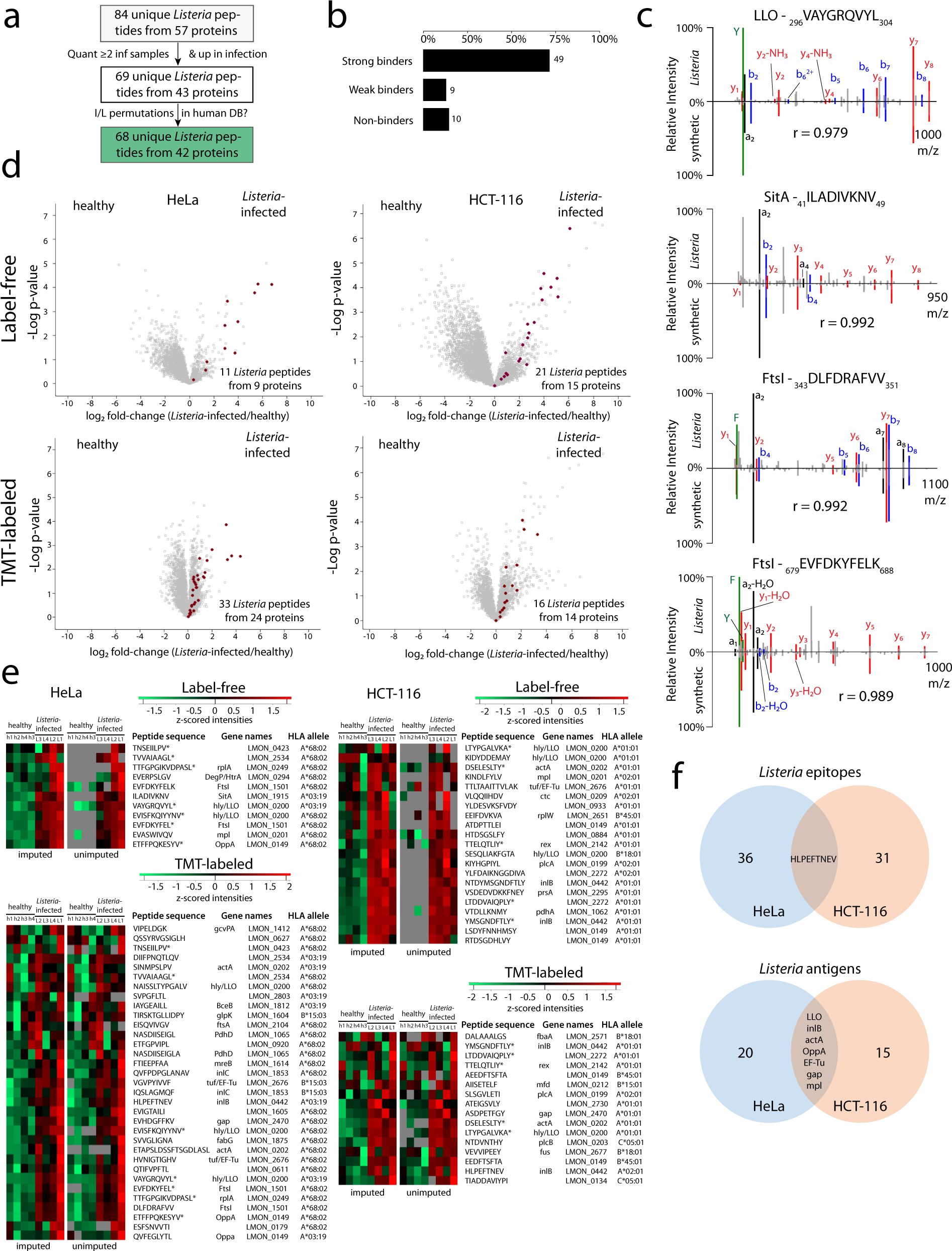 Fig. 2: Detection of high confident Listeria immunopeptides.