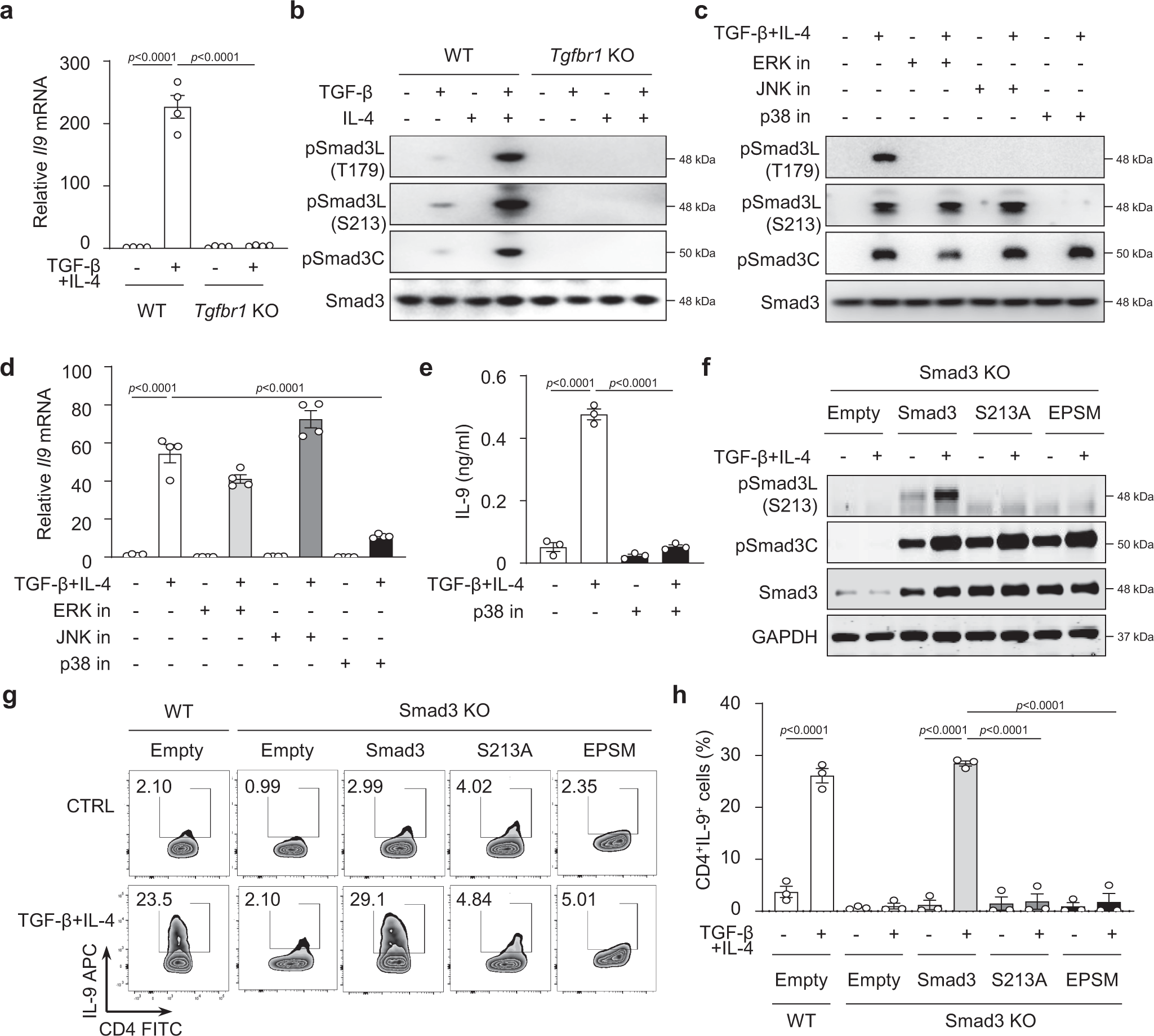 Recombinant Mouse IL-4 Protein 404-ML-010: R&D Systems