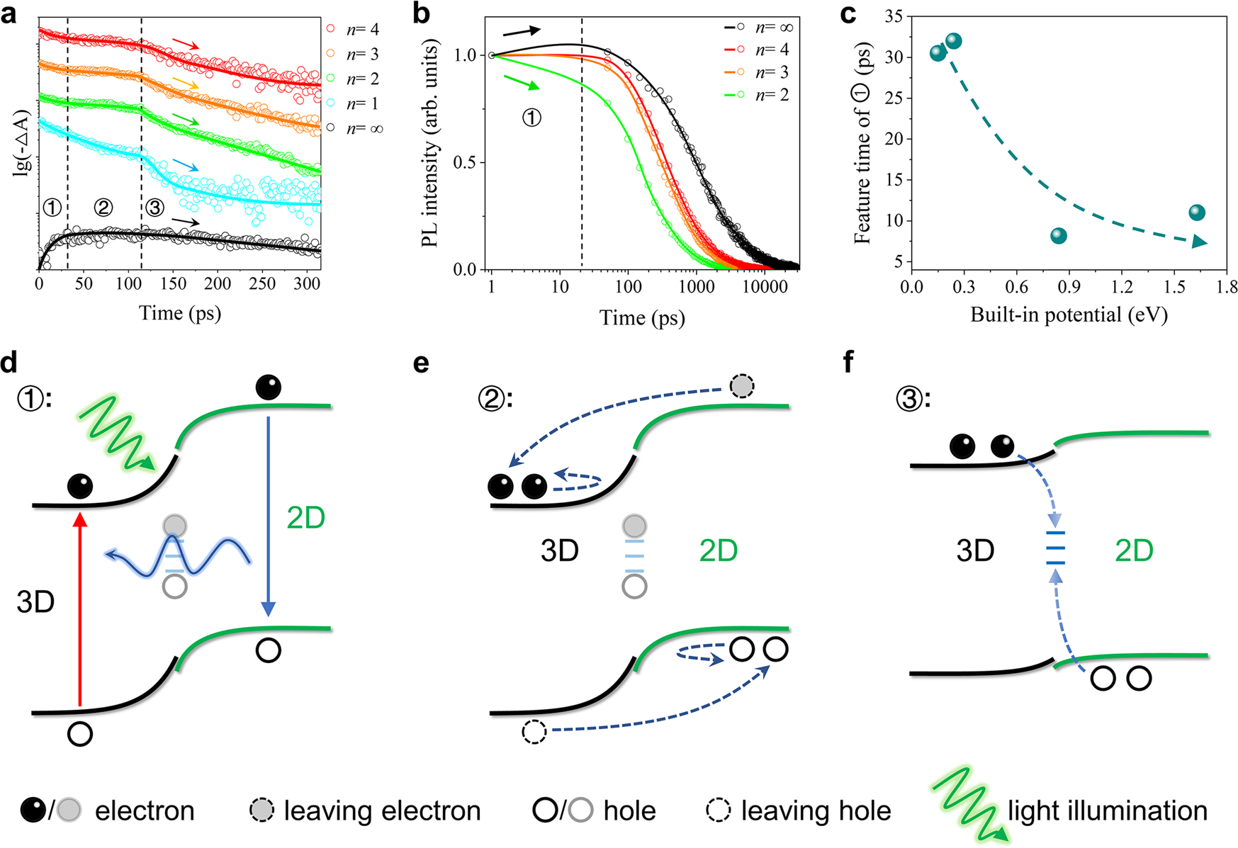 Fig. 3: Carrier dynamics of the 2D/3D HP interface.