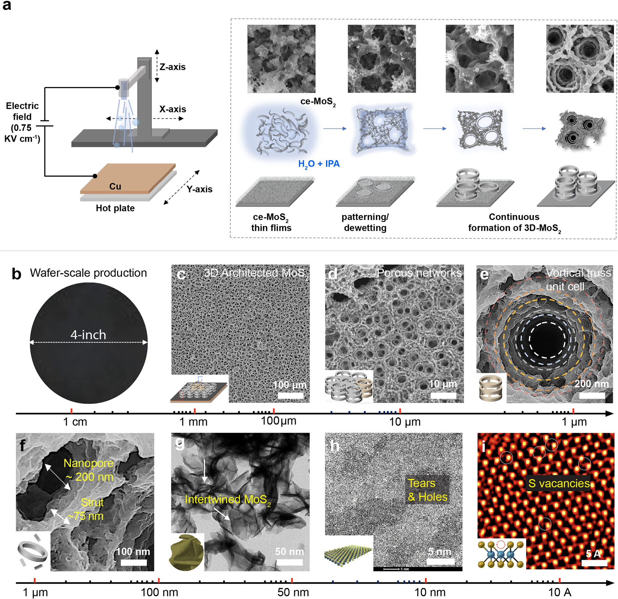 Three Dimensional Hierarchically Porous Mos2 Foam As High Rate And Stable Lithium Ion Battery Anode Nature Communications