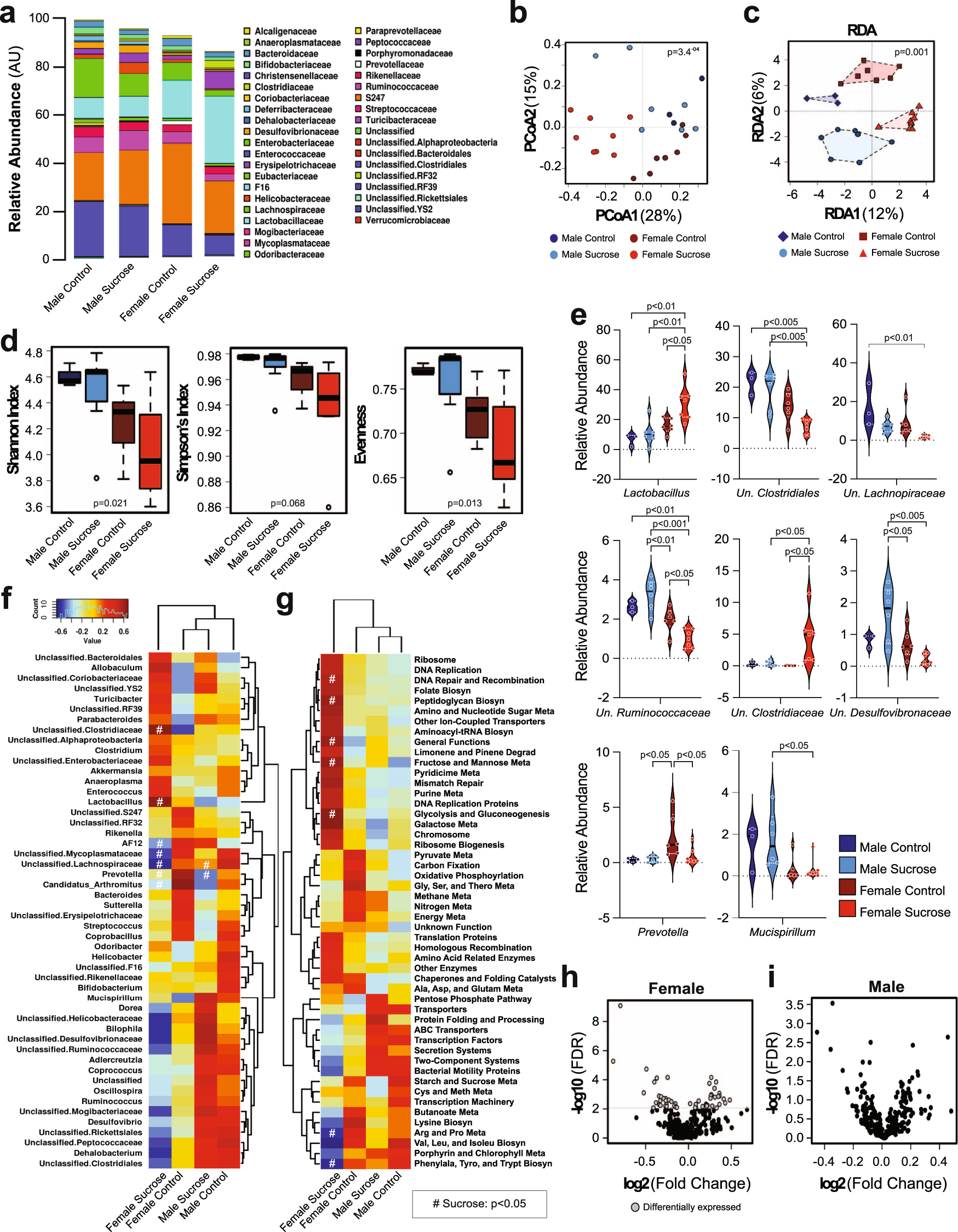 Fig. 6: Sucrose intake has sex-specific effects on the microbiome.