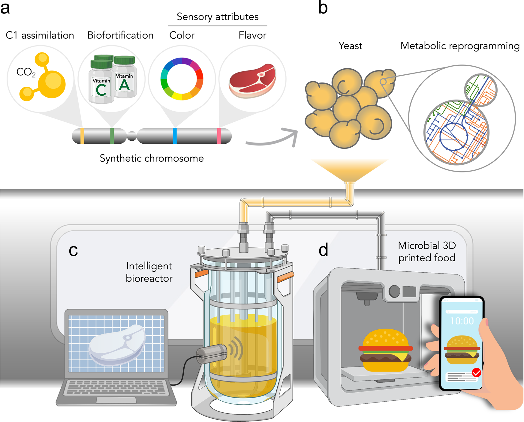 Harnessing bioengineered microbes as a versatile platform for space  nutrition | Nature Communications