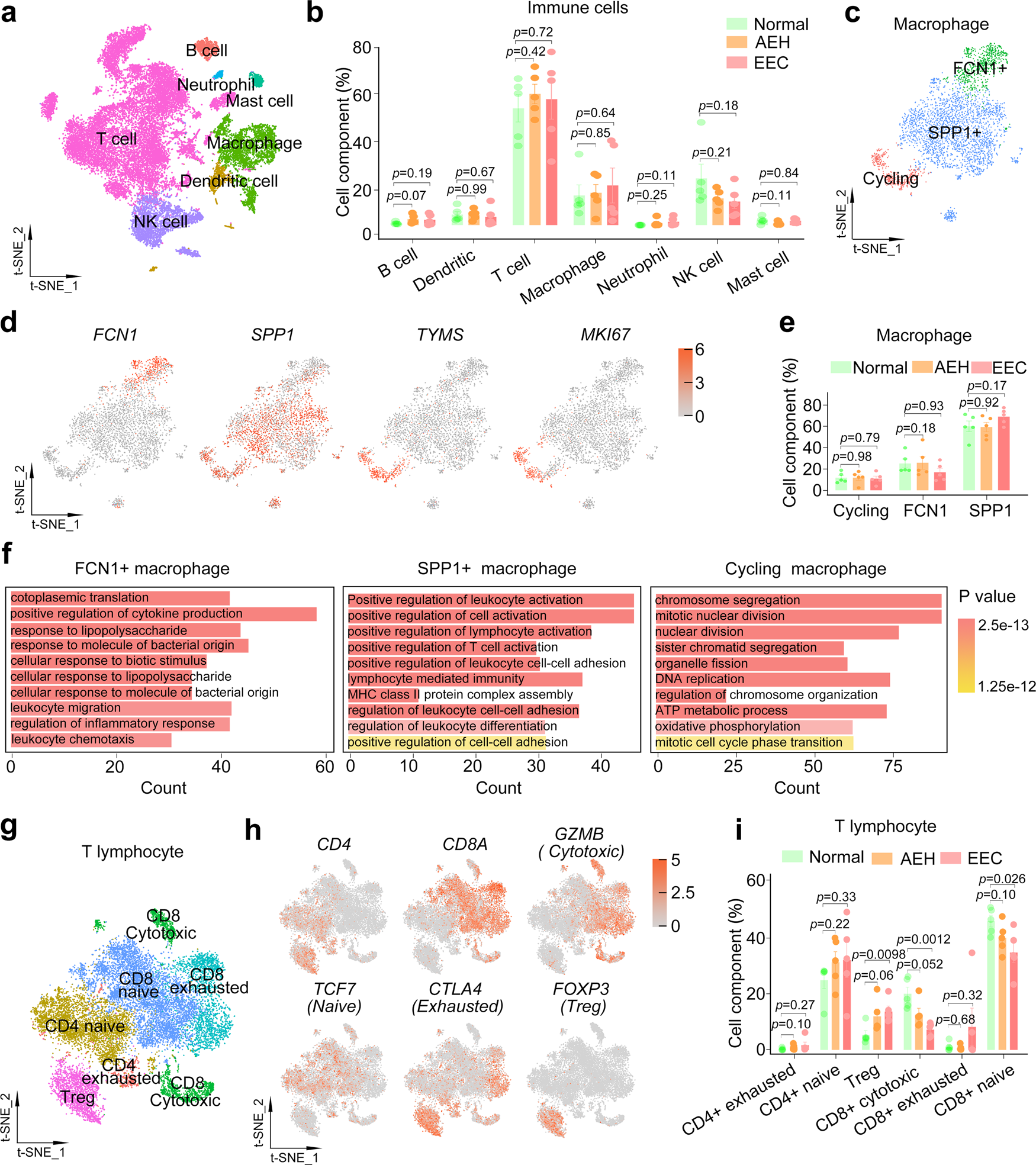 Fig. 7: Disruption of immune environment from normal to EEC.