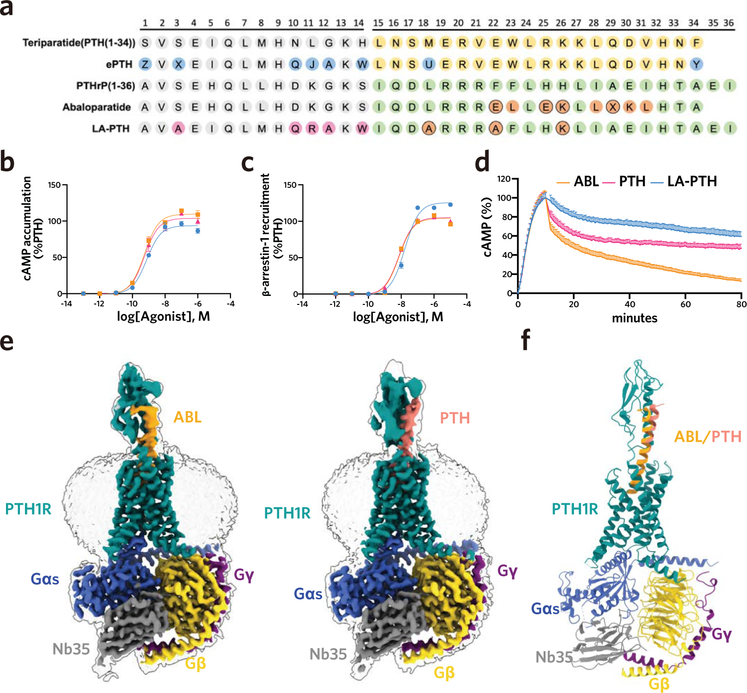 Clinical and molecular findings of the six patients with Rubinstein