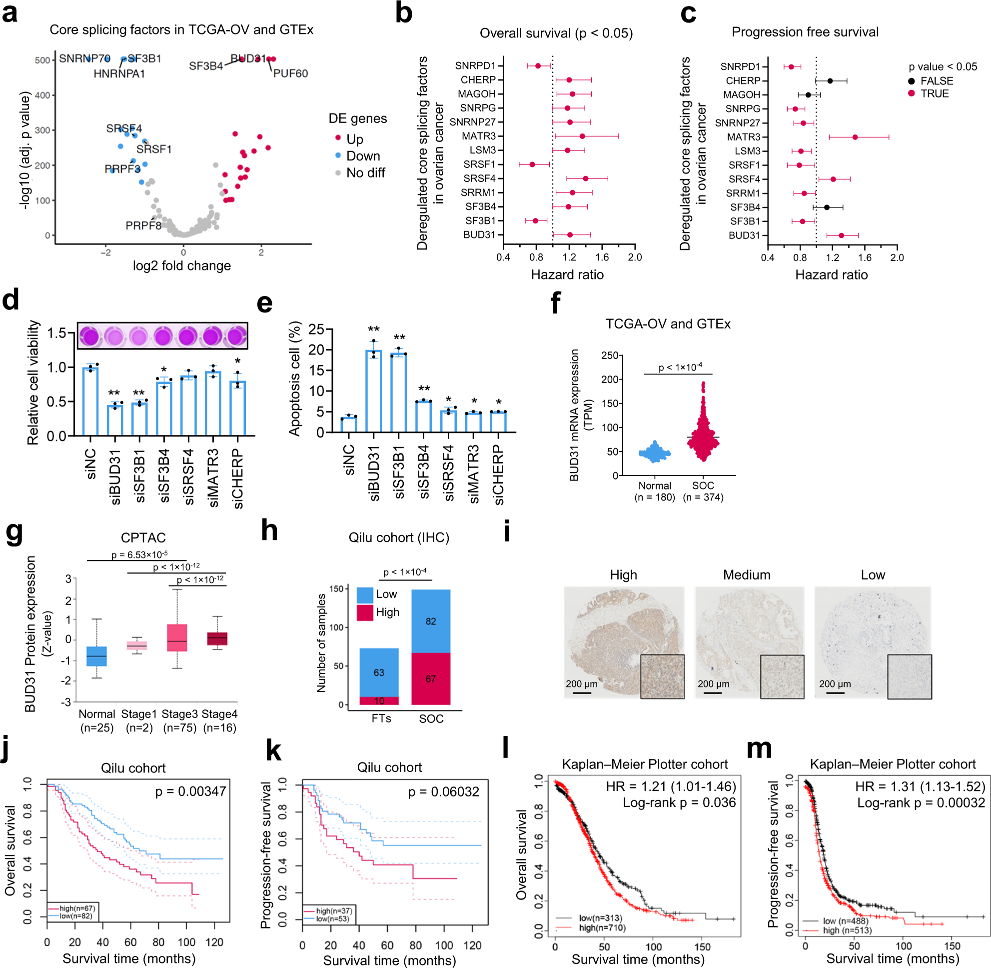 Splicing factor BUD31 promotes ovarian cancer progression through  sustaining the expression of anti-apoptotic BCL2L12 | Nature Communications