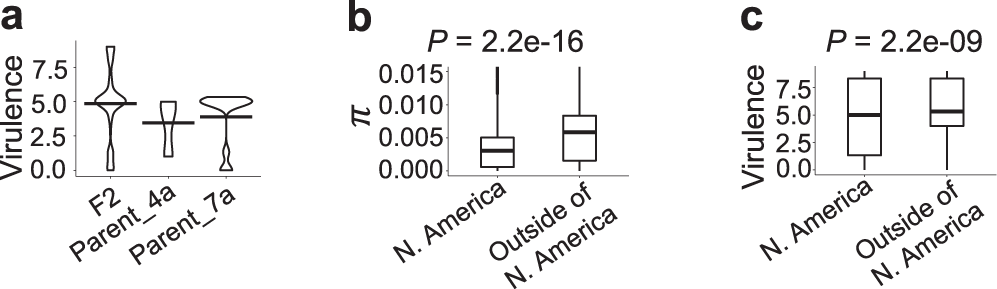 Fig. 8: Relationship between Pgt virulence, admixture, and sexual recombination.