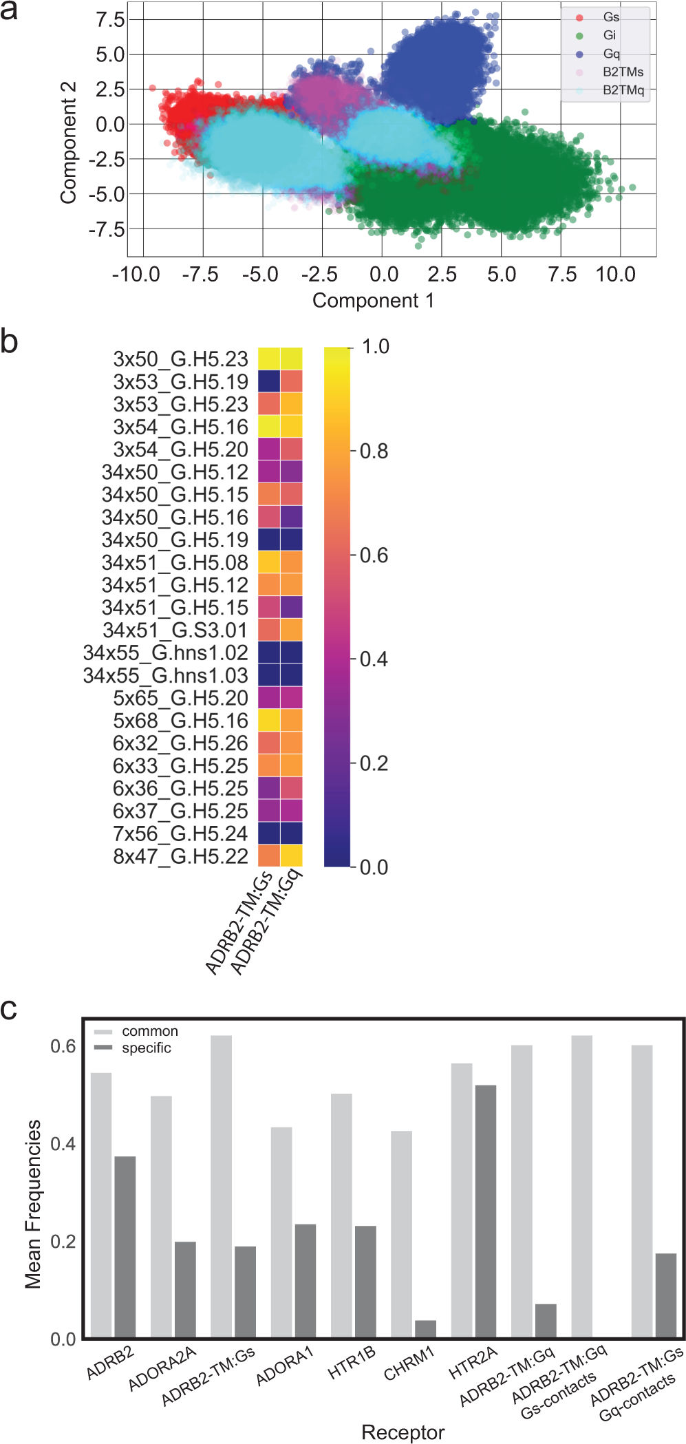 Fig. 5: The GPCR:G protein contact landscape of promiscuous GPCRs.