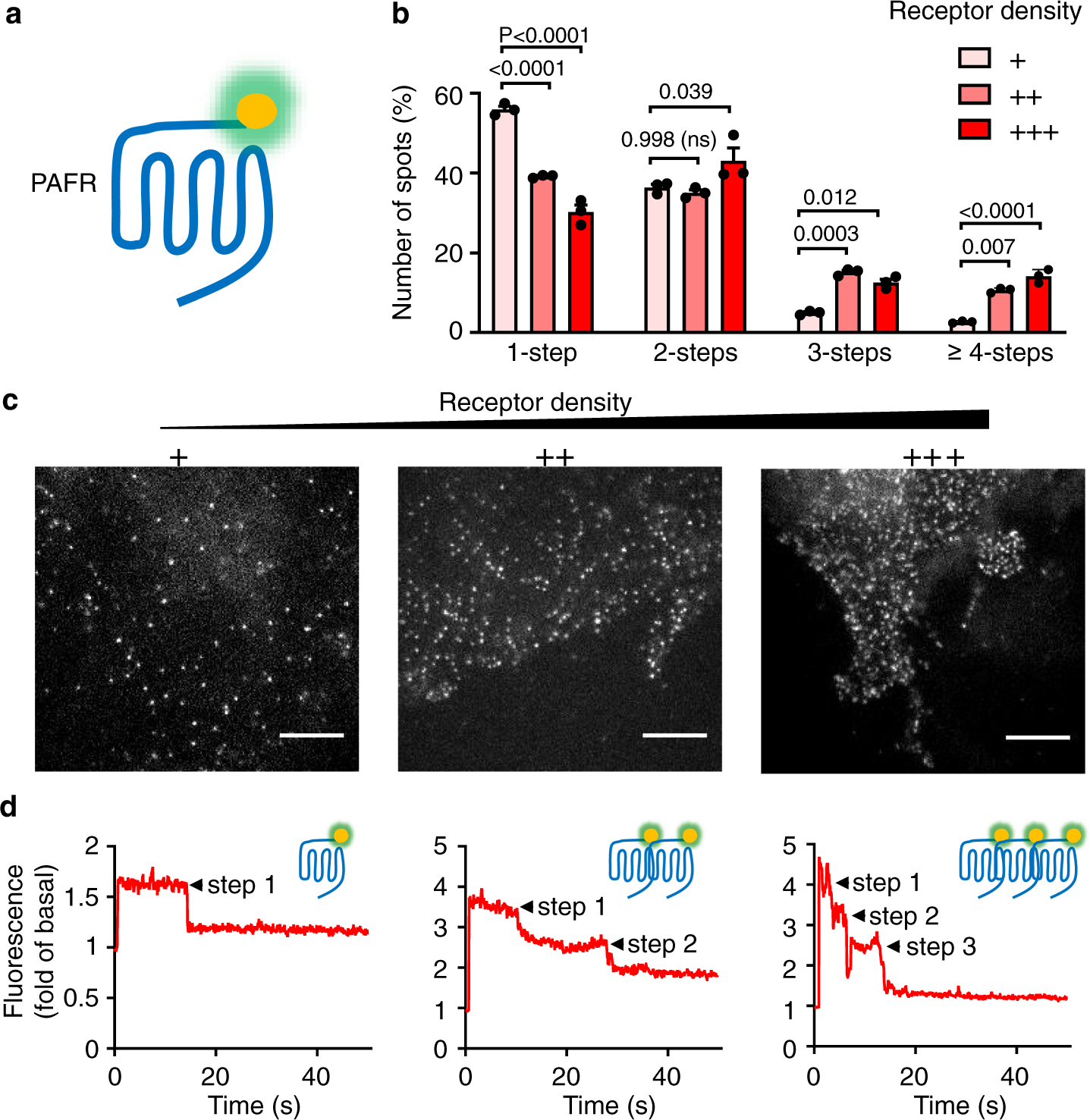 Illuminating the Path to Target GPCR Structures and Functions