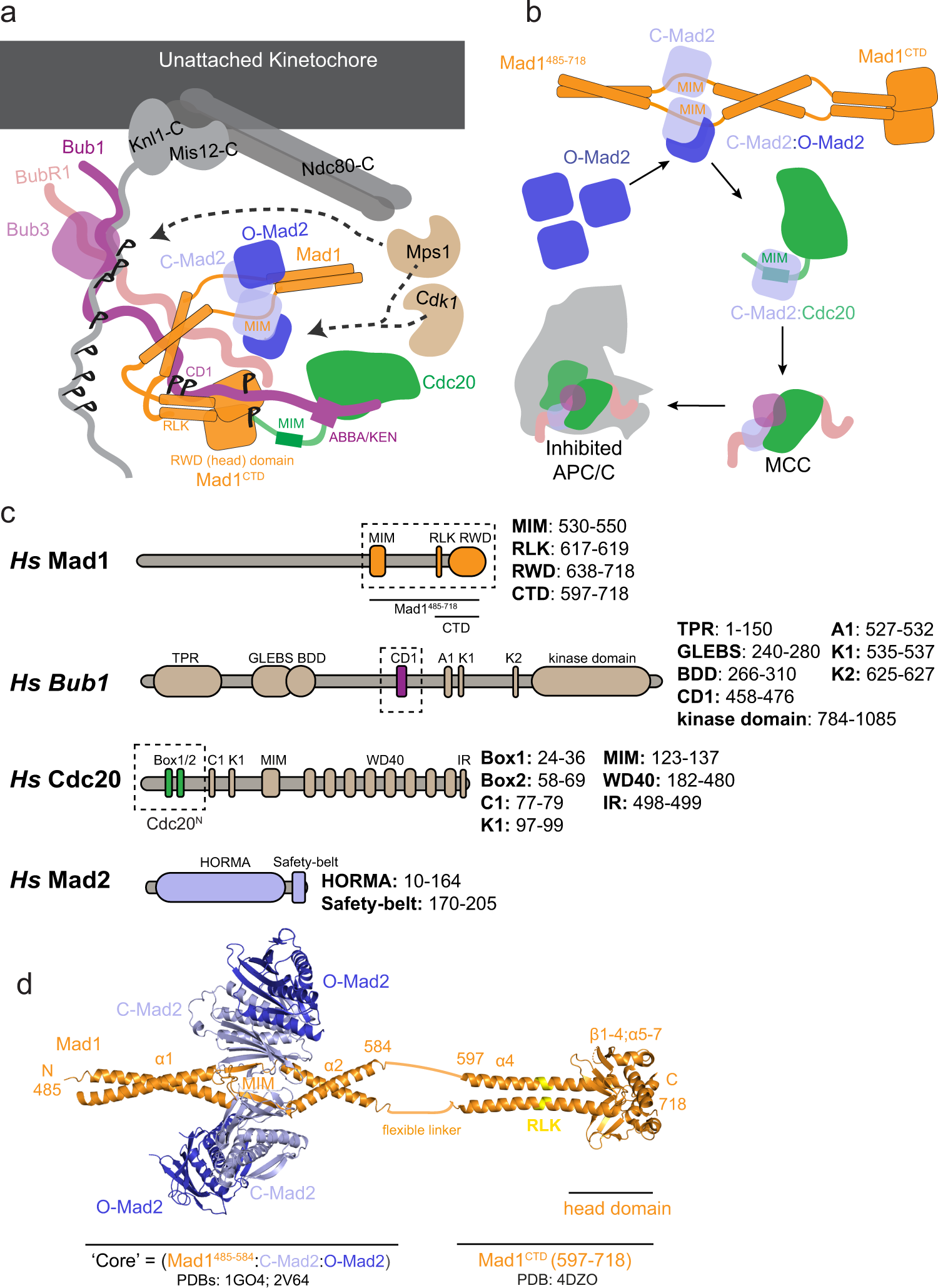 Ray Manchester - Discussion on PDB