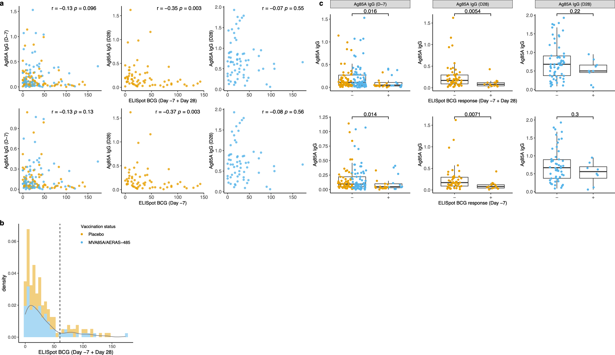 Fig. 5: The relationship between Ag85A-specific IgG response and BCG-specific IFN-γ response.