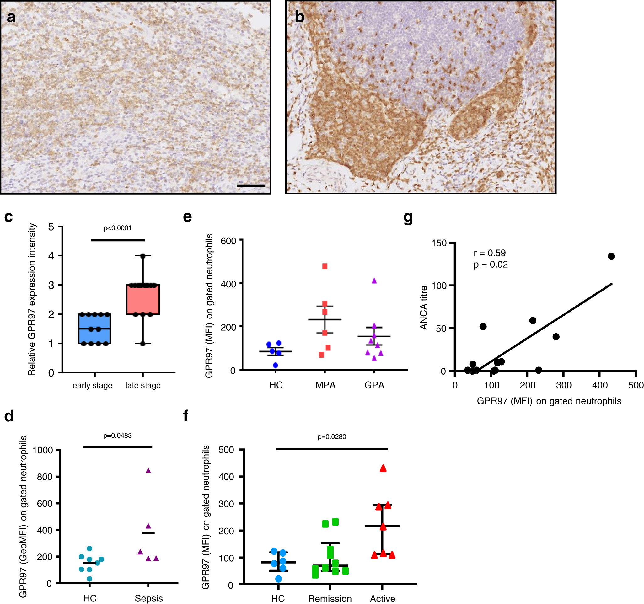 PDF) During early stages of cancer, neutrophils initiate anti