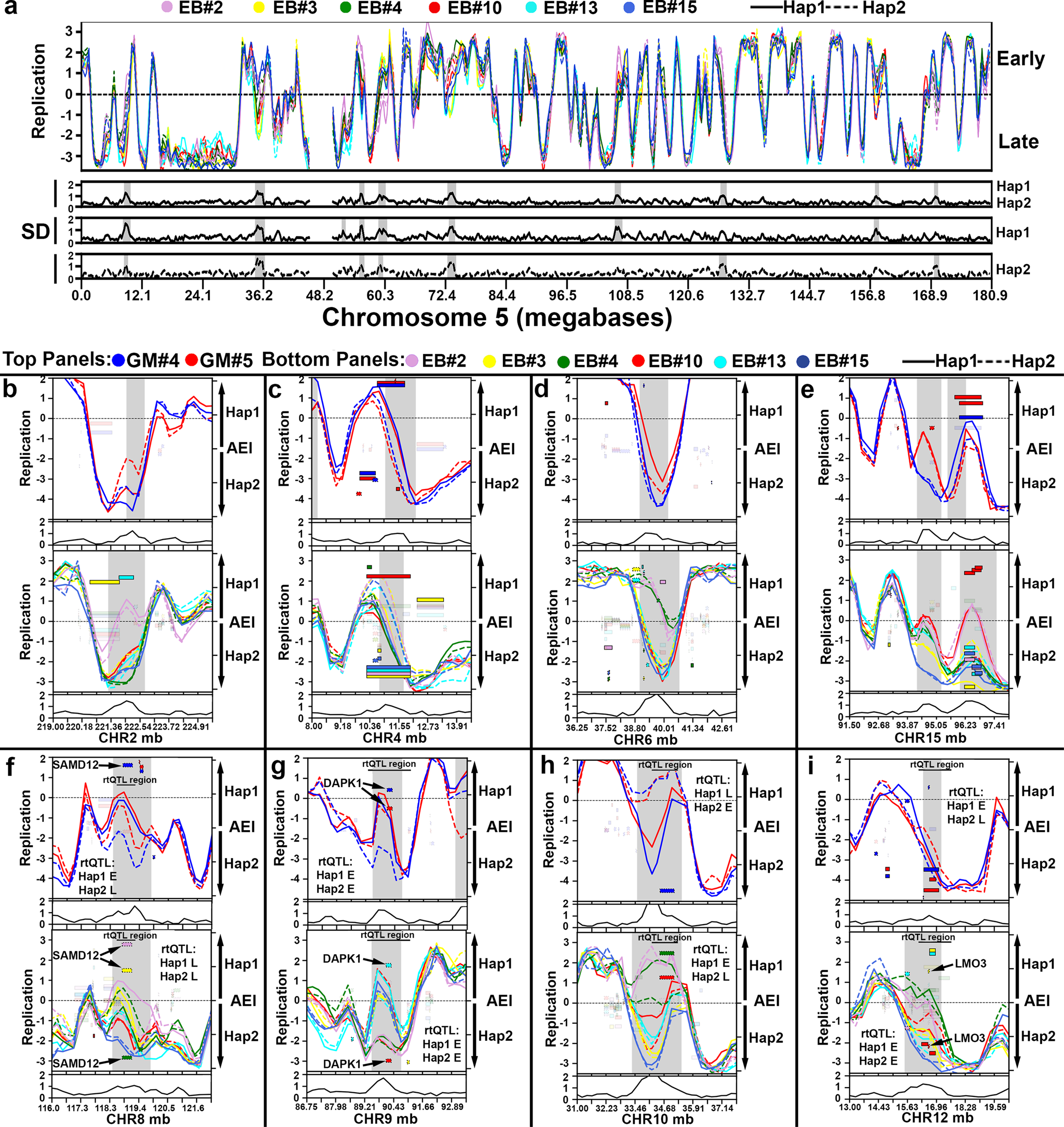 Fig. 4: Haplotype phased analysis of ASRT on autosomes.