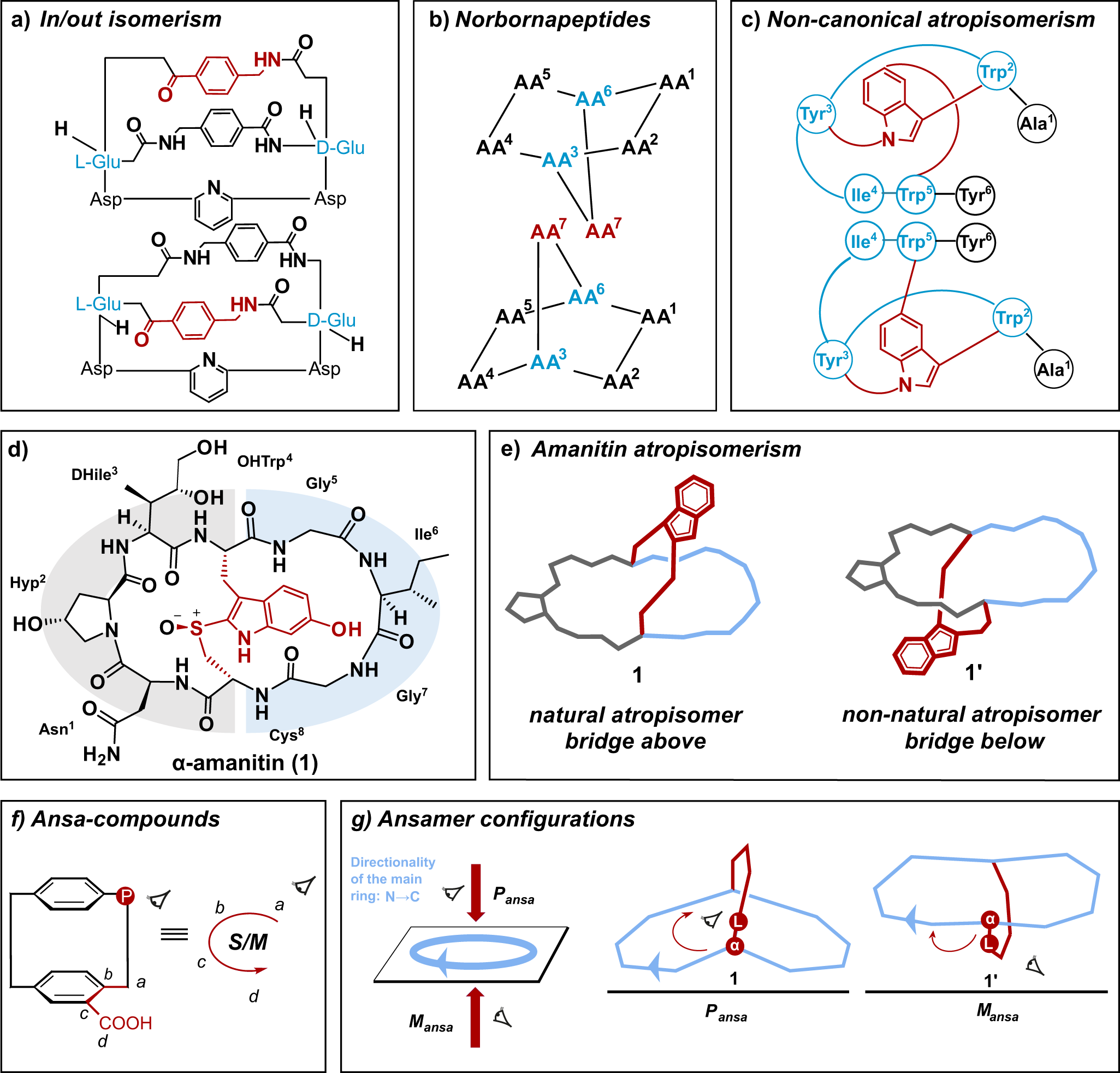 The occurrence of ansamers in the synthesis of cyclic peptides | Nature  Communications