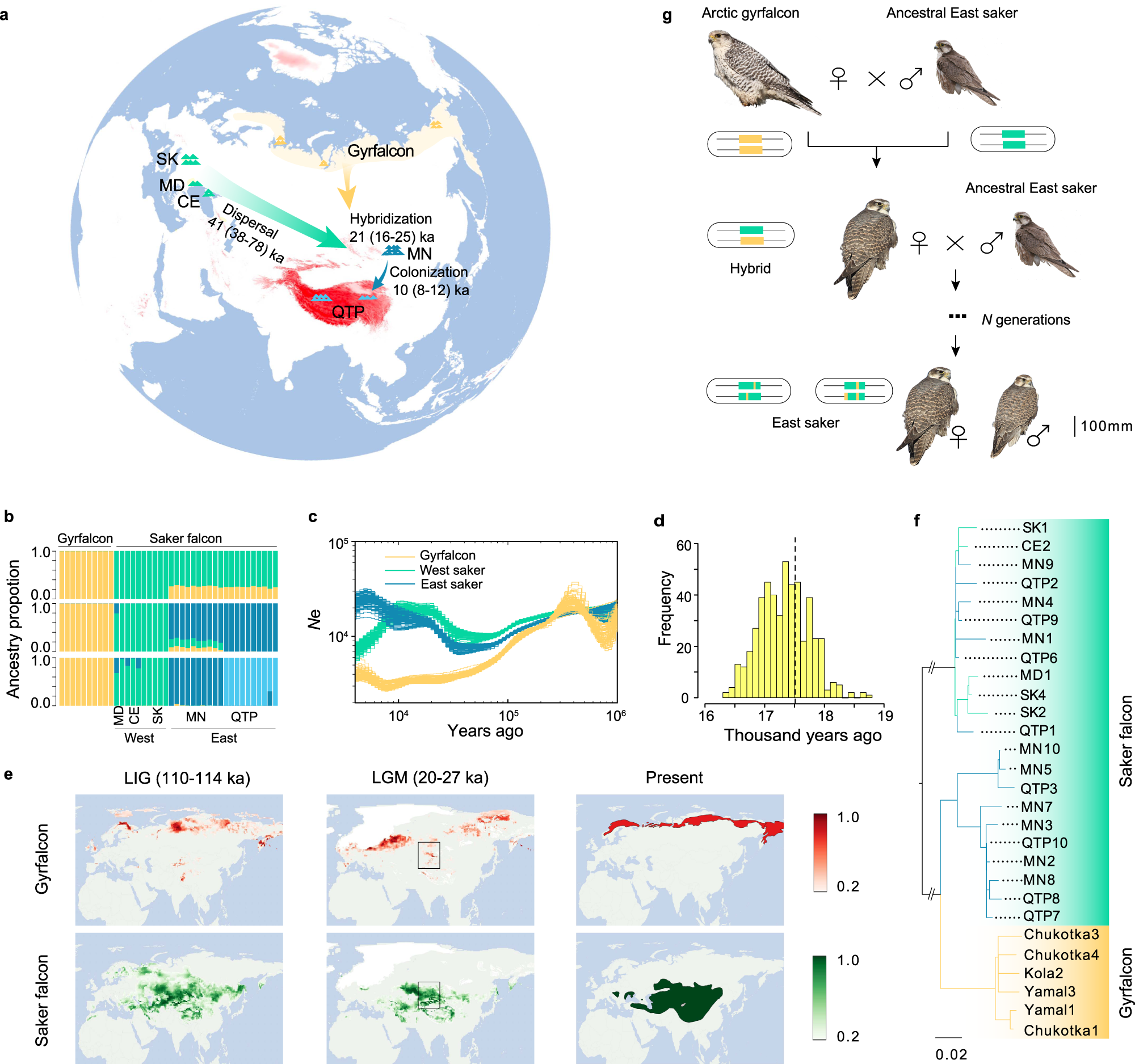 Polar bear genome gives new insight into adaptations to high-fat