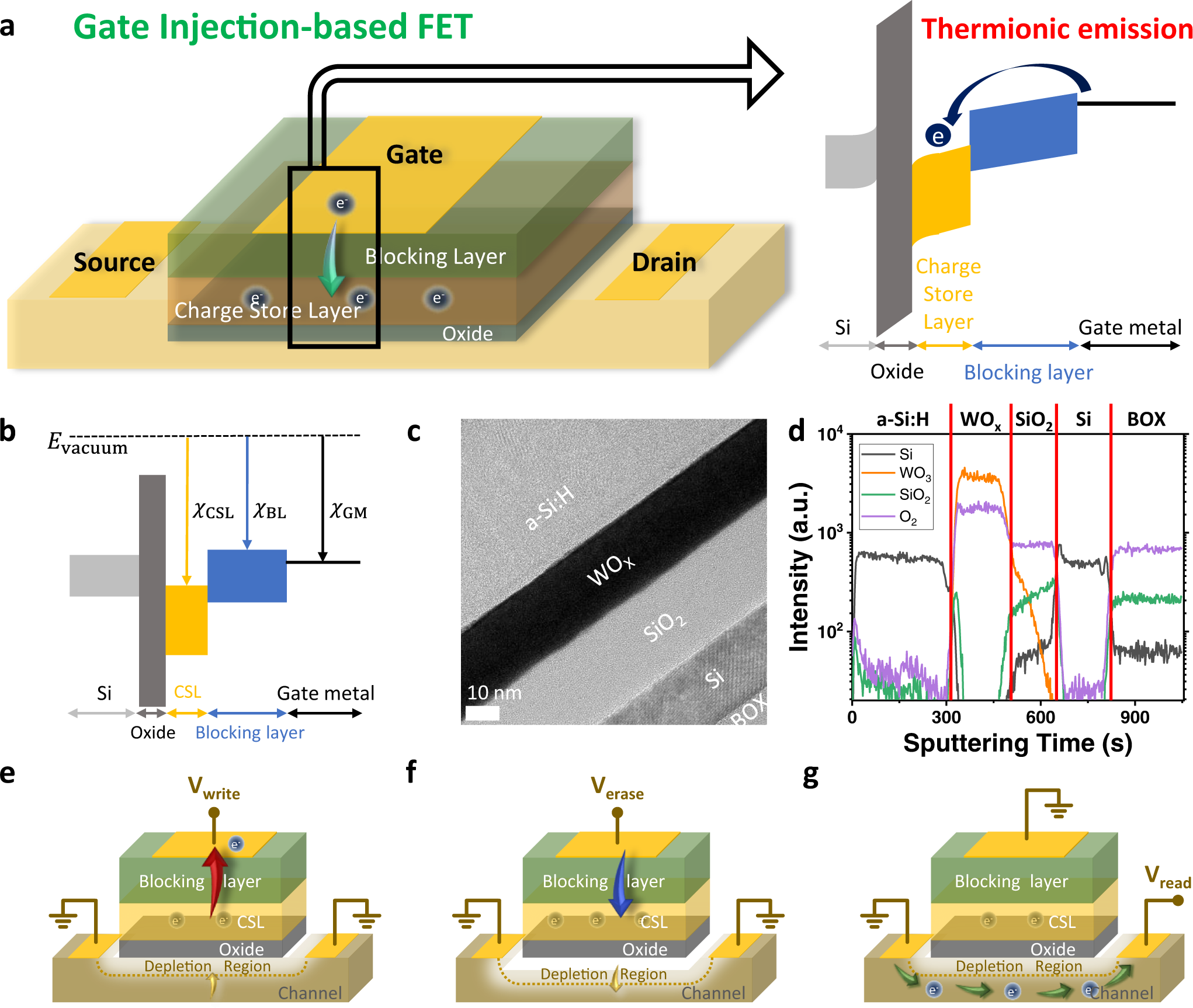 The gate injection-based field-effect synapse transistor with linear  conductance update for online training | Nature Communications