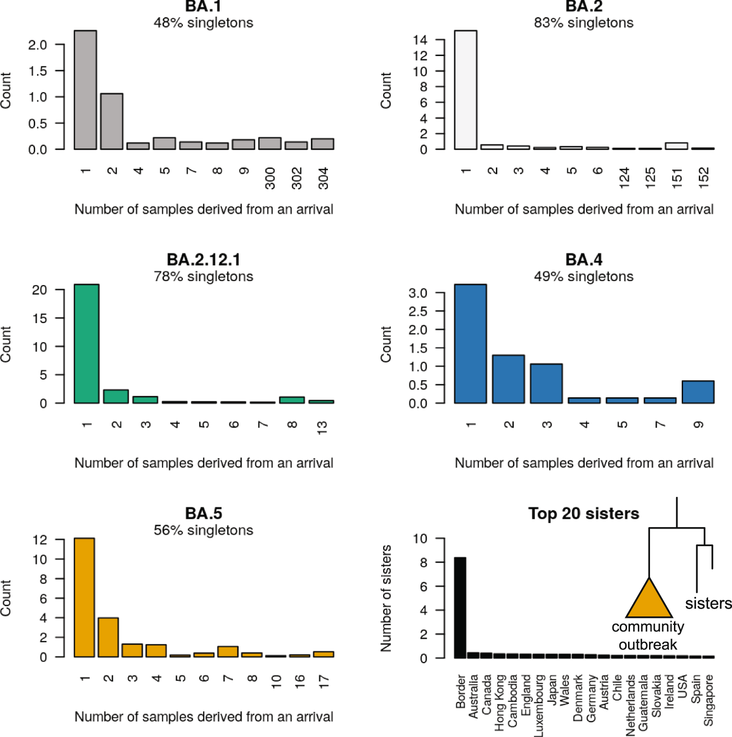 Fig. 4: Posterior distribution of sample count (i.e. tree leaf count; or clade size) resulting from each introduction event.