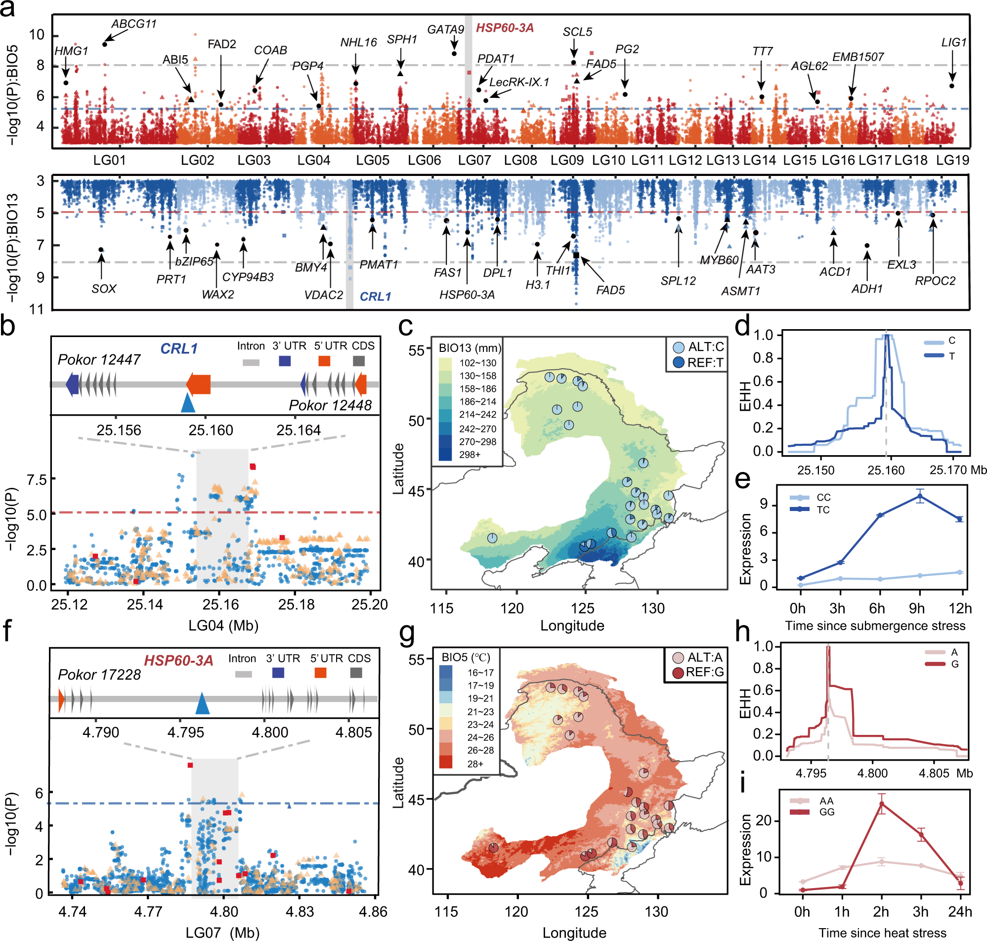Fig. 3: Genome-wide screening of the loci associated with local environmental adaptation.