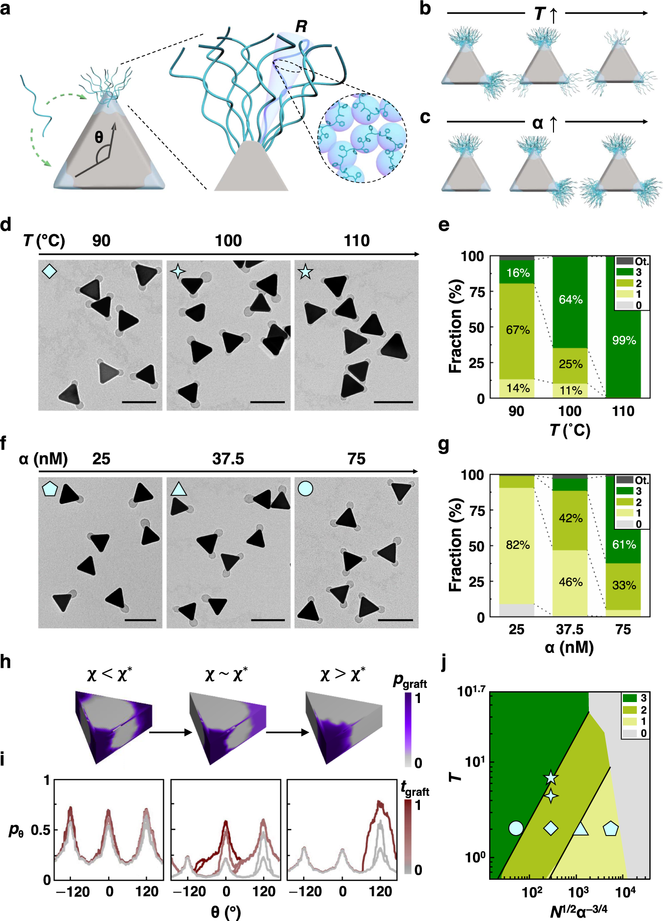 Fig. 2: Quantitative control of the asymmetric grafting.