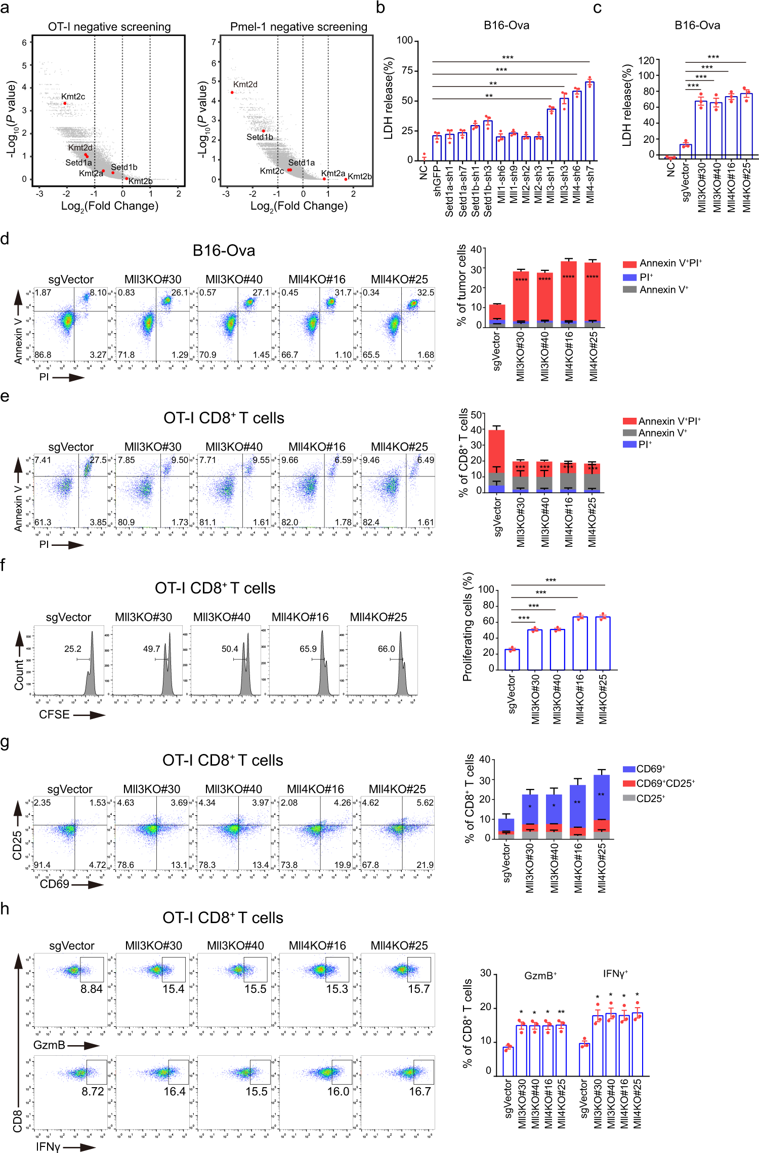 Enhancer decommissioning by MLL4 ablation elicits dsRNA-interferon  signaling and GSDMD-mediated pyroptosis to potentiate anti-tumor immunity |  Nature Communications
