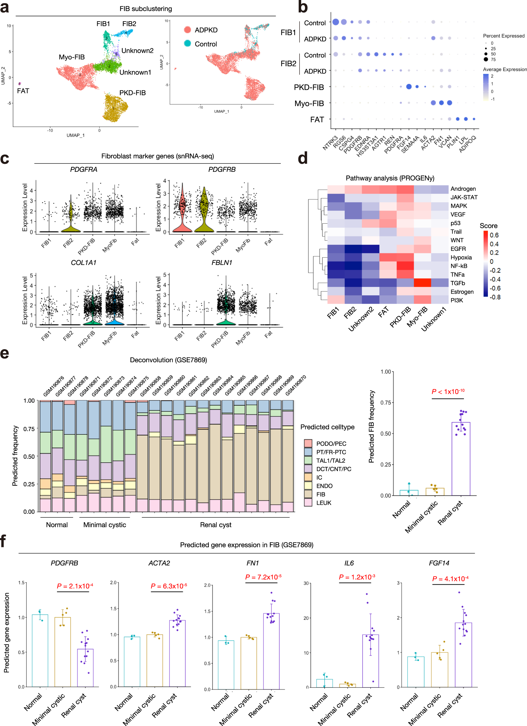 Fig. 6: Expansion of proinflammatory, profibrotic fibroblast subtypes in ADPKD kidneys.