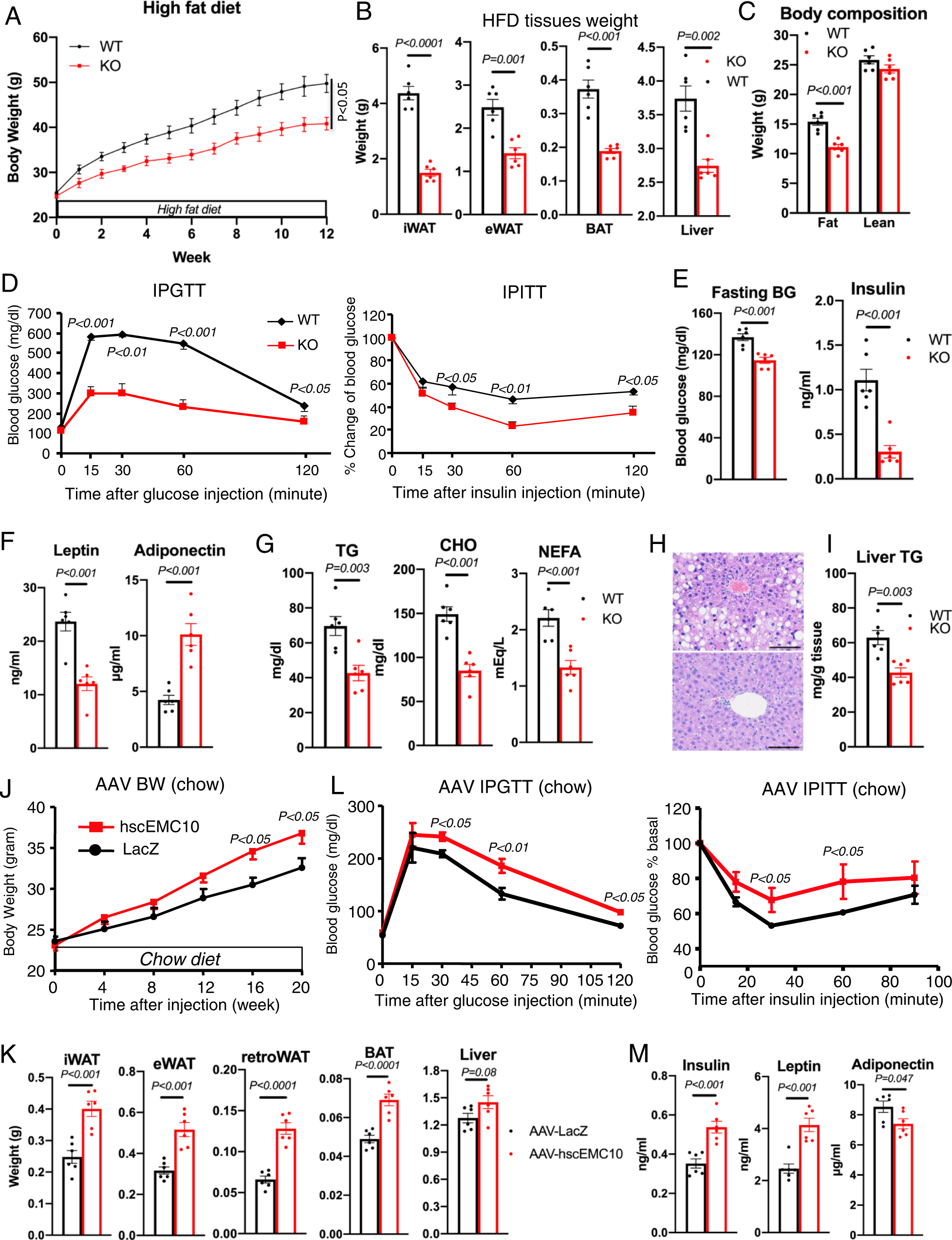 Fig. 3: Effects of EMC10 ablation and scEMC10 overexpression on obesity and metabolic homeostasis.