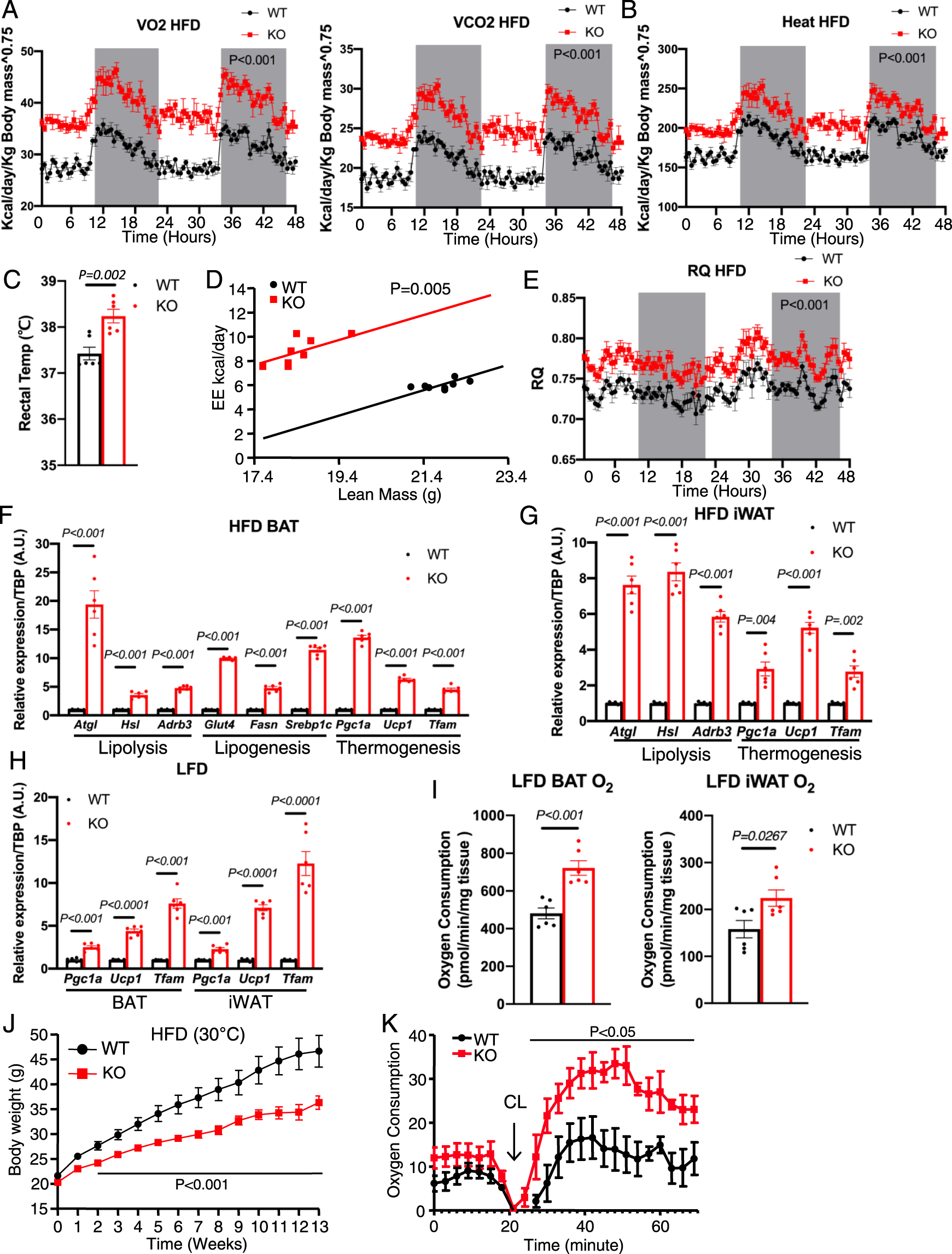 Fig. 4: EMC10 ablation promotes adipose tissue oxygen consumption and whole-body energy expenditure.