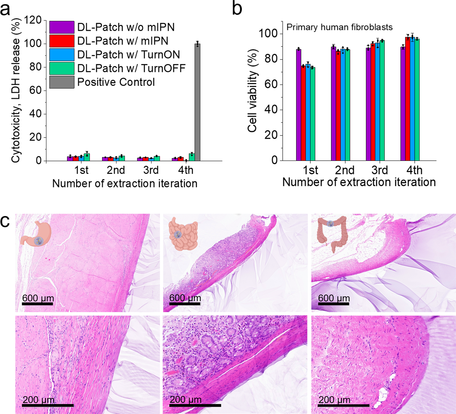 Fig. 4: Cell and tissue compatibility.