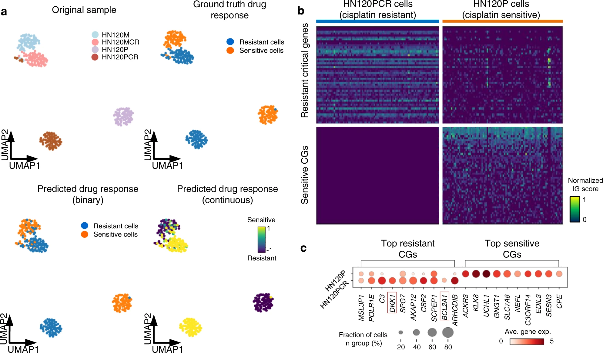 Shiprock 沙漠中的岩石图片