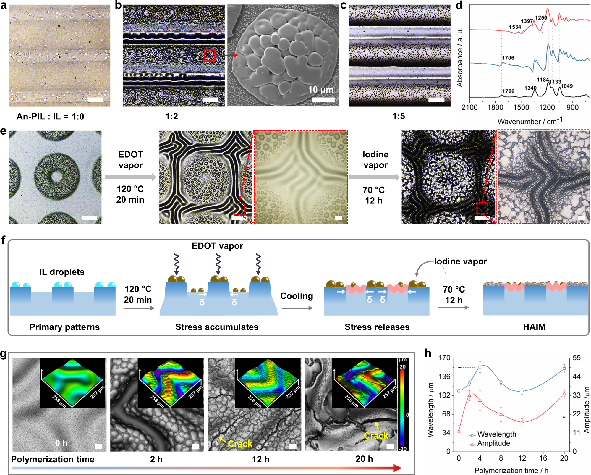 Fig. 4: Fabrication, characterization, and mechanisms of secondary wrinkles formation.