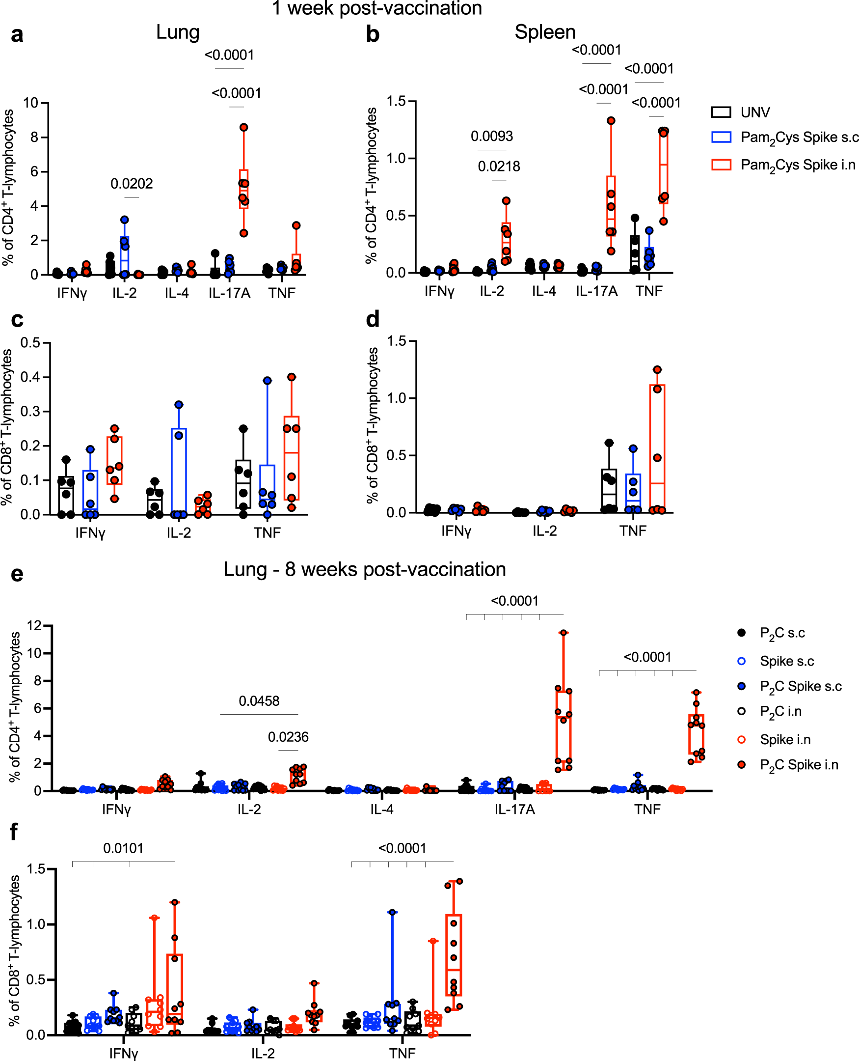 Fig. 3: Mucosal vaccination induces potent lung-localized and circulating IL-17-producing Spike-specific CD4+ T-cells.