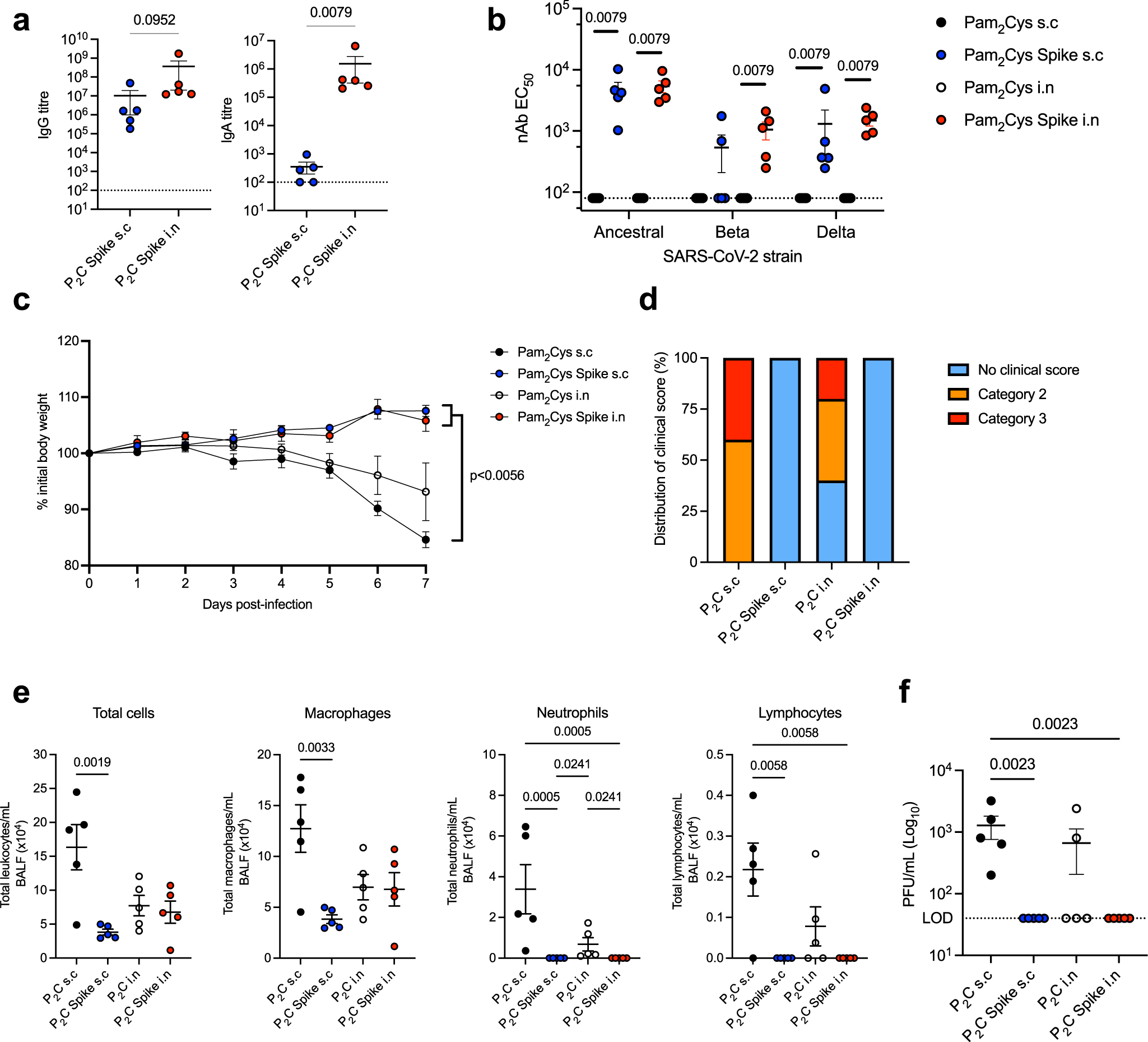 Fig. 8: Vaccination with Pam2Cys Spike induces potent protection against SARS-CoV-2 challenge.