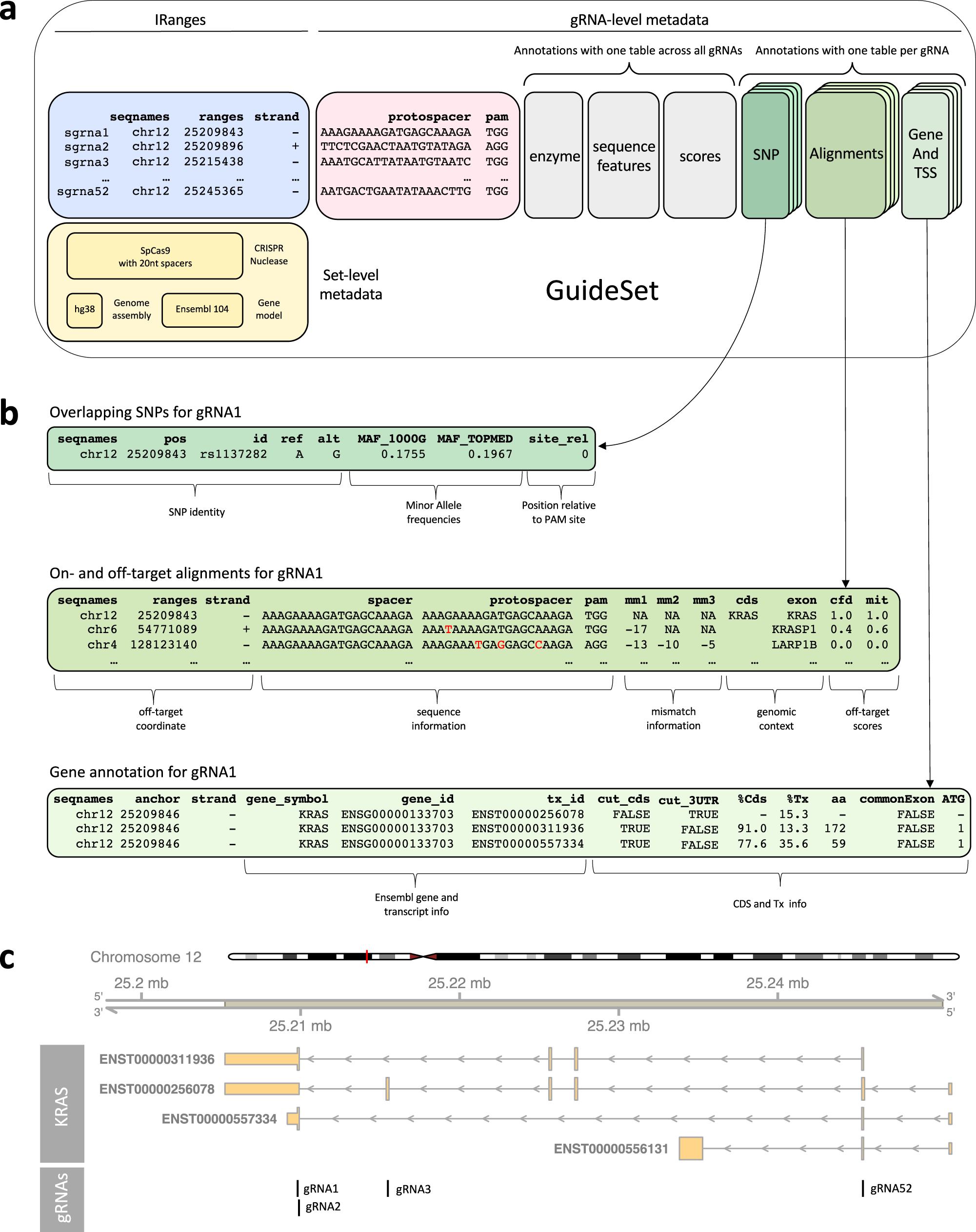 Fig. 2: Example of a GuideSet container for gRNAs targeting KRAS using SpCas9.