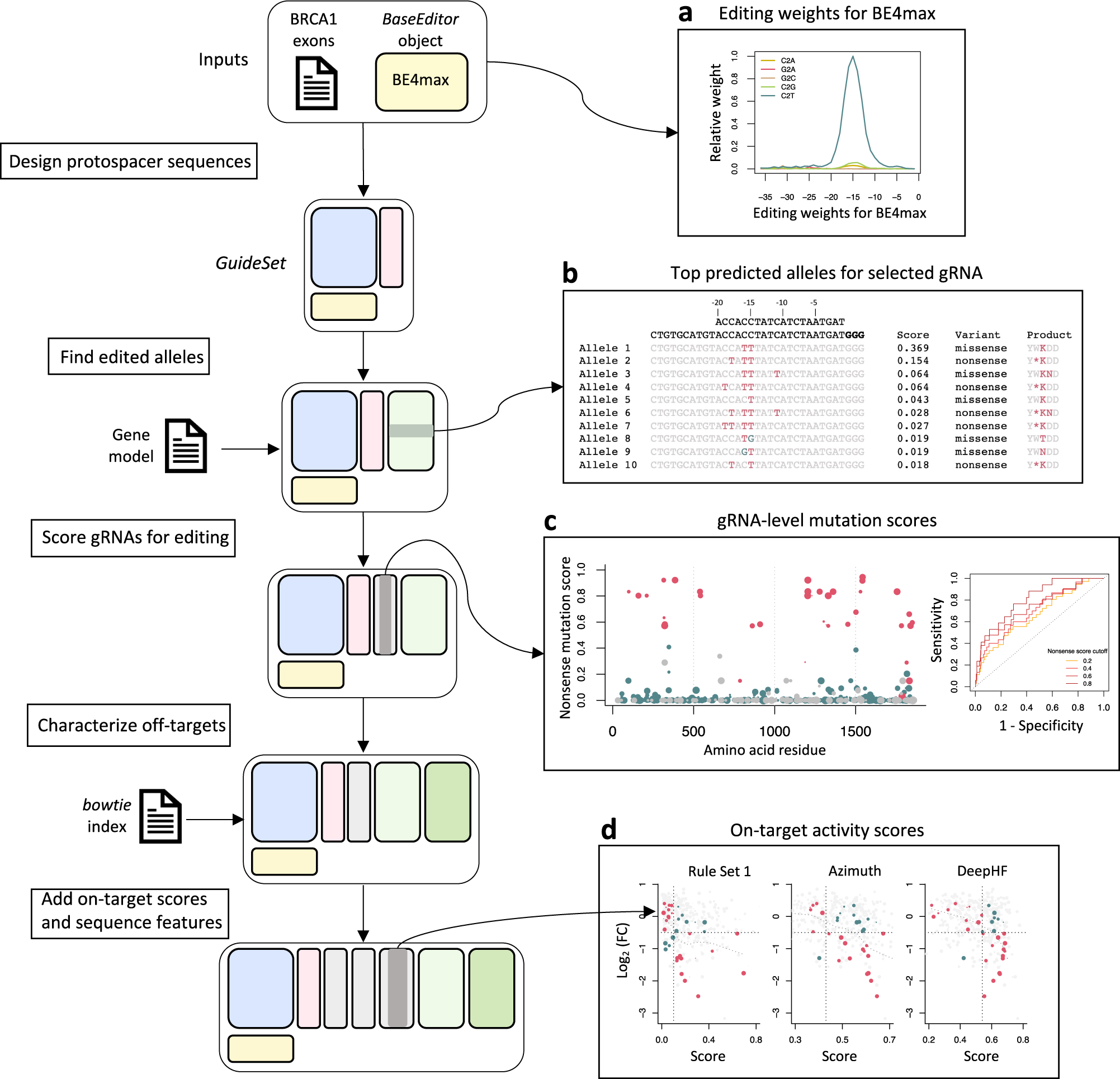 Fig. 4: crisprDesign workflow to design gRNAs tiling BRCA1 using the base editor BE4max.