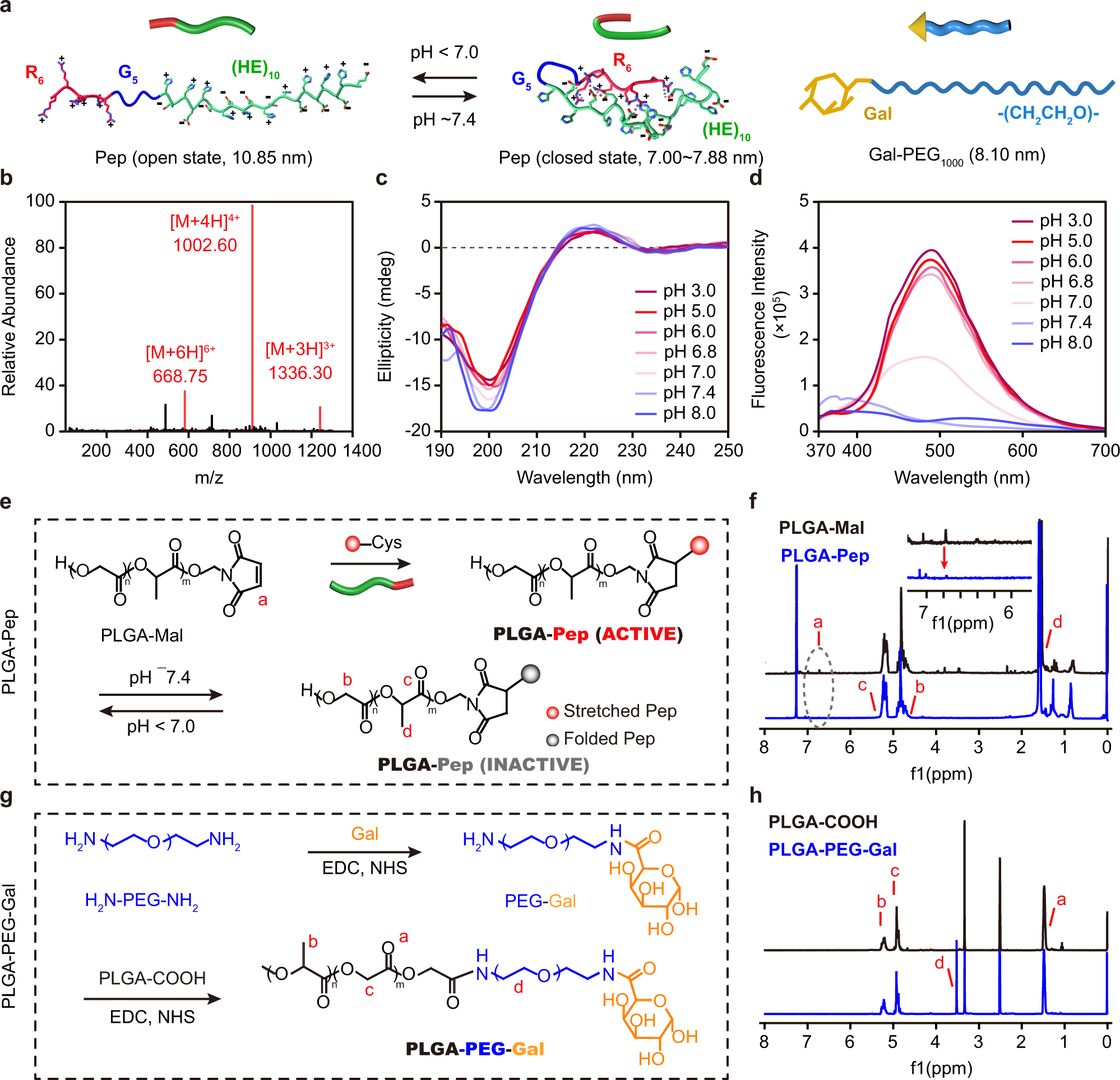 Fig. 2: Synthesis and characterization of functional polymers.