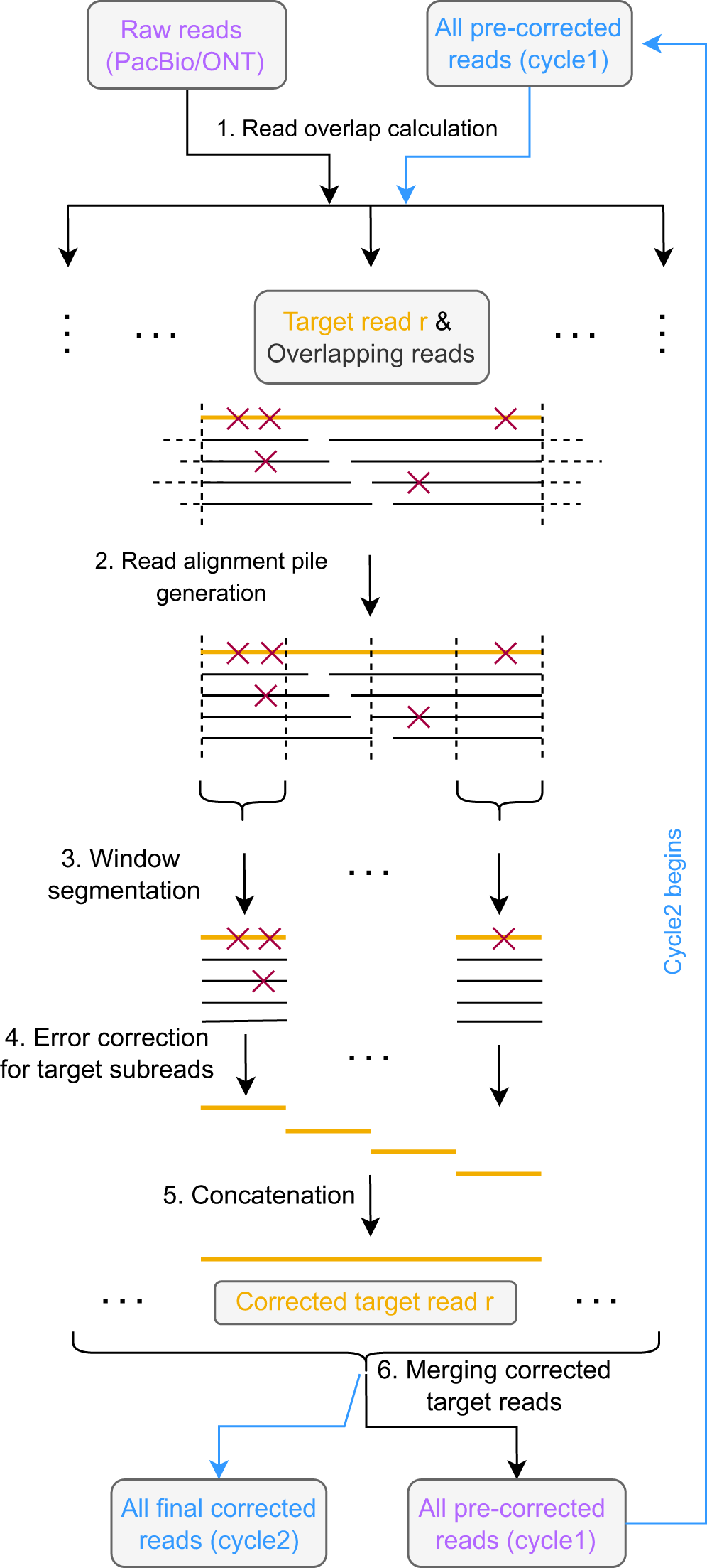 DREAMS: deep read-level error model for sequencing data applied to