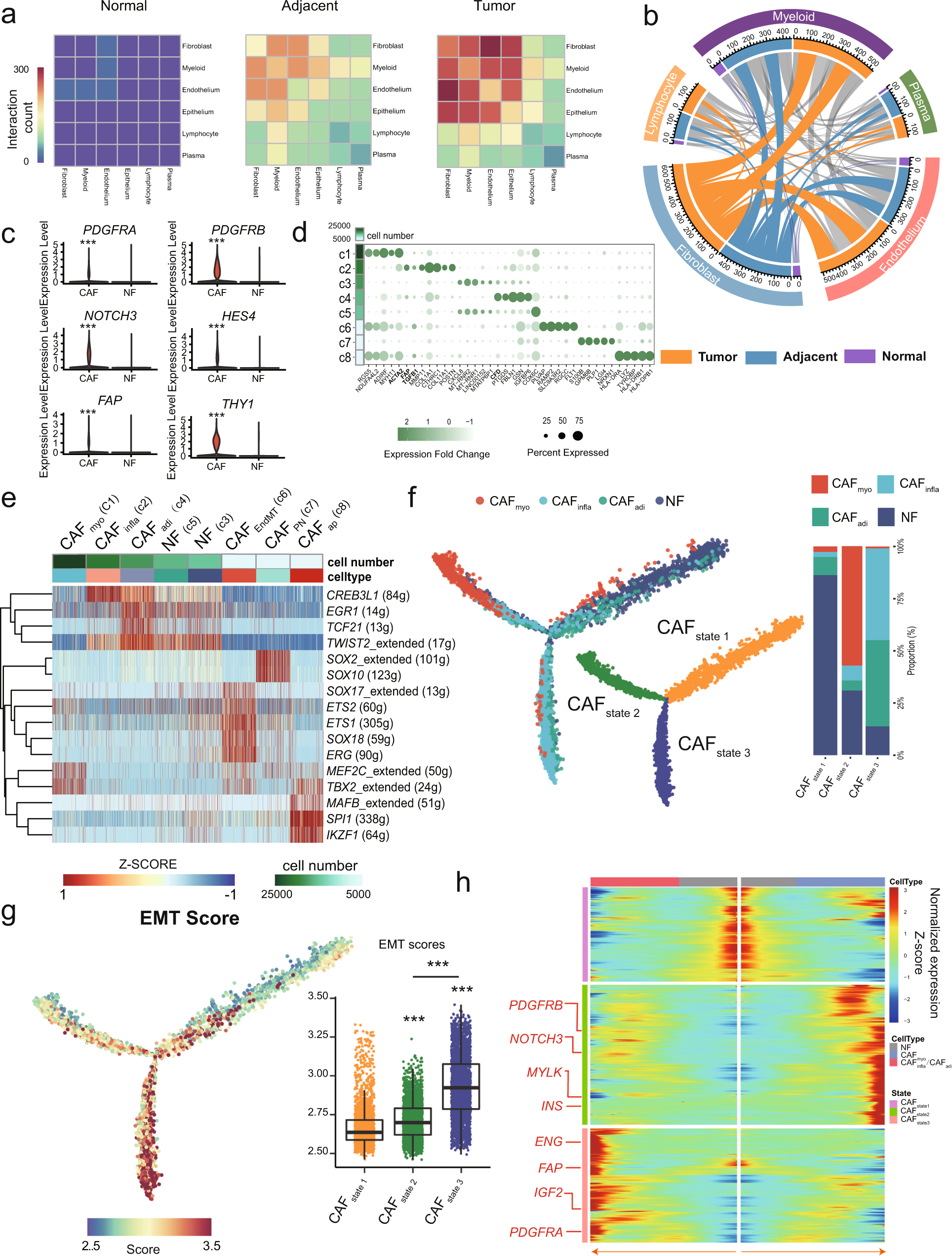 Fig. 2: Generalized activation of CAFs in the TME.