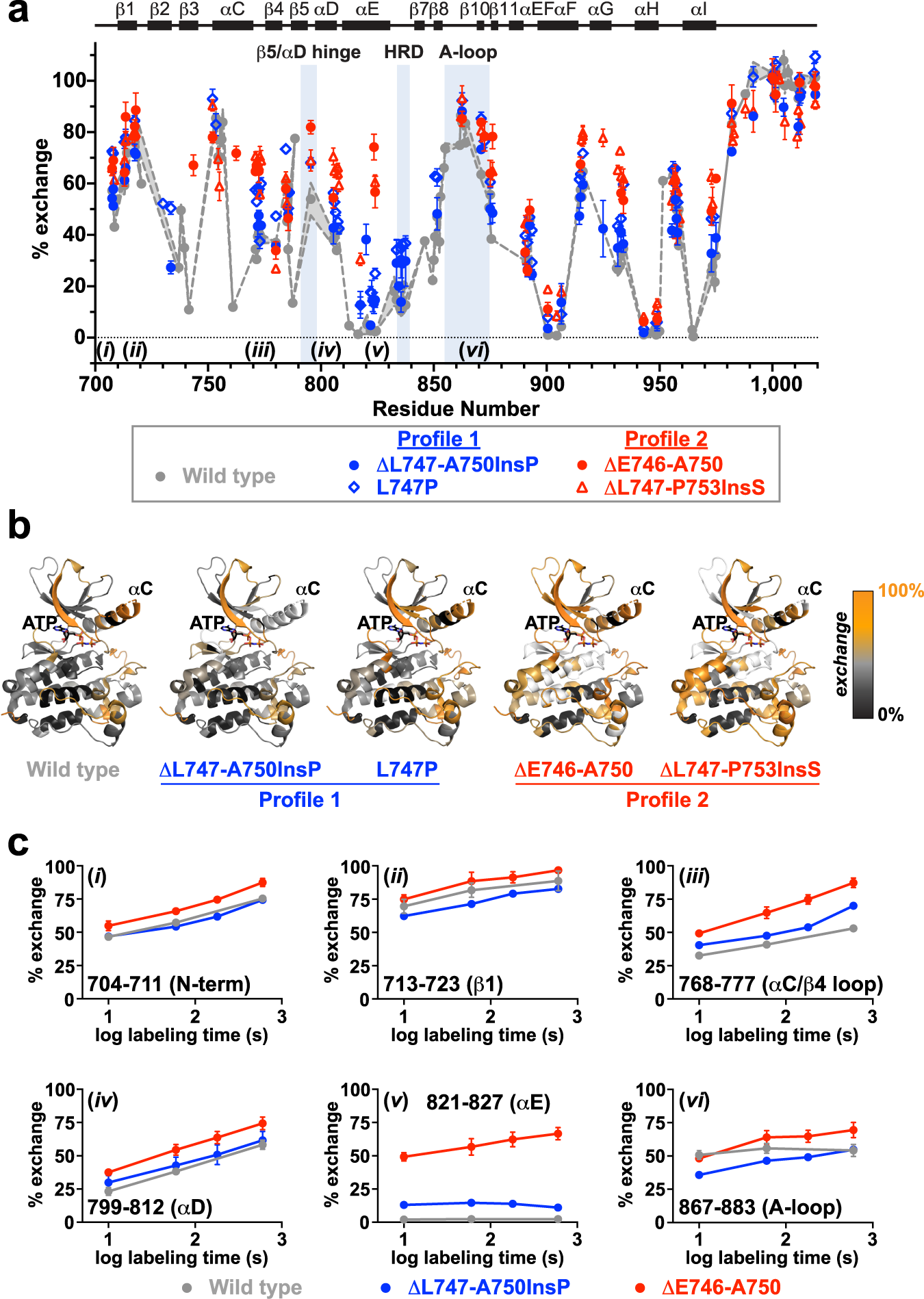 Fig. 4: Native state dynamics of exon 19 variants differ for profile 1 and profile 2.