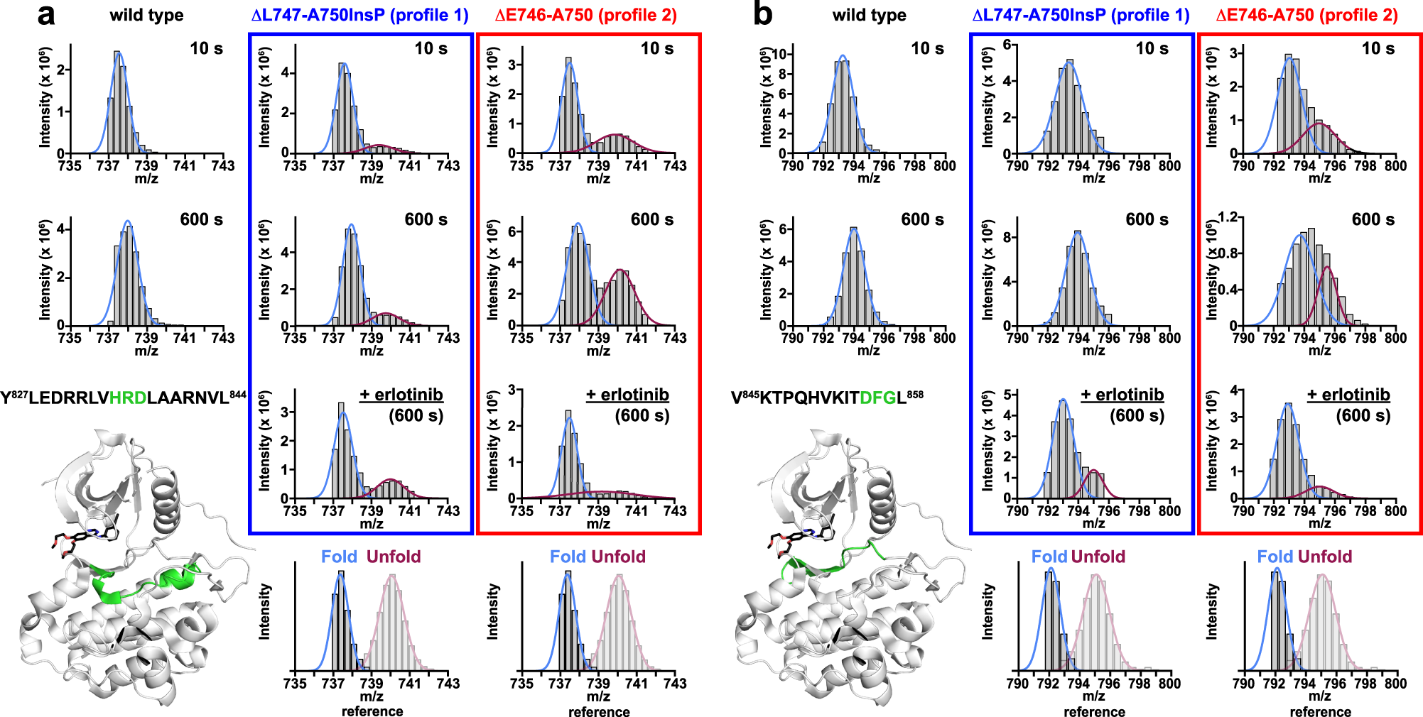 Fig. 6: HRD and DFG motif peptides of profile 2 variants are in unfolded regions.