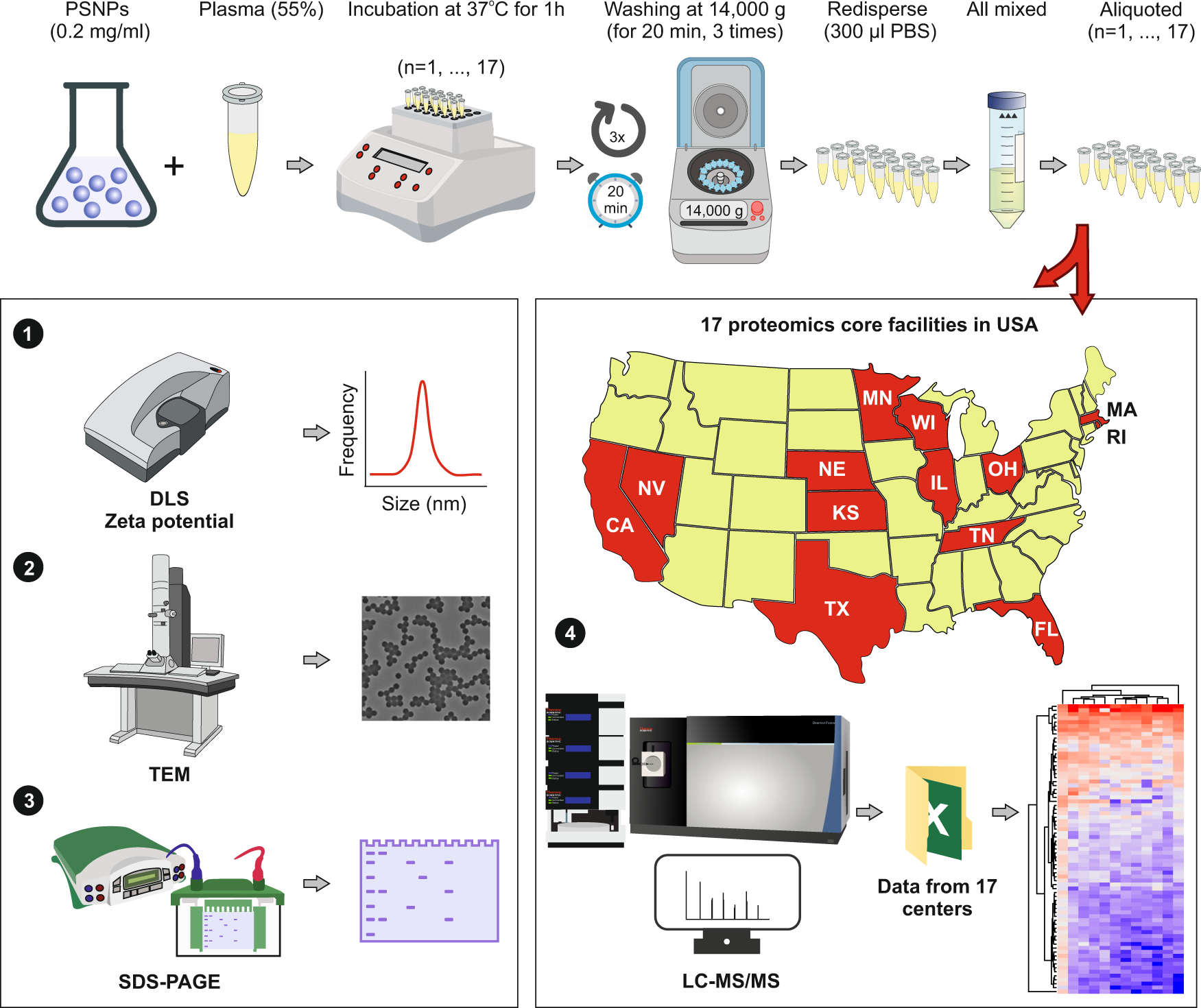Measurements of heterogeneity in proteomics analysis of the nanoparticle  protein corona across core facilities | Nature Communications
