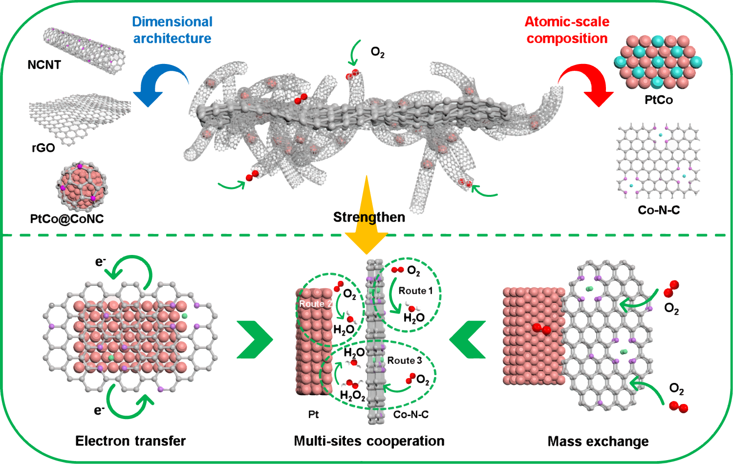 Distortion-Induced Interfacial Charge Transfer at Single Cobalt Atom  Secured on Ordered Intermetallic Surface Enhances Pure Oxygen Production