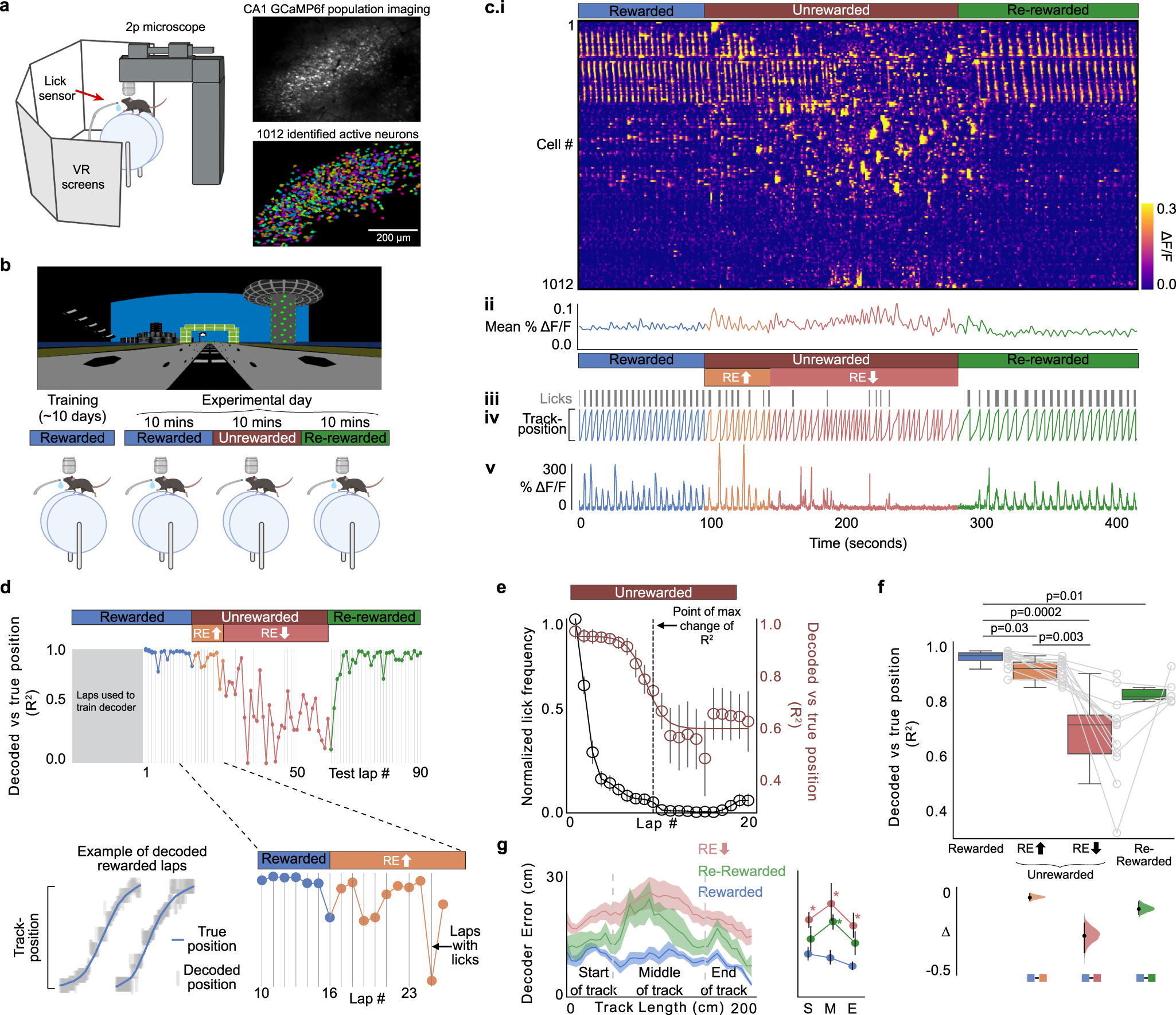 Reward expectation extinction restructures and degrades CA1 spatial maps  through loss of a dopaminergic reward proximity signal | Nature  Communications