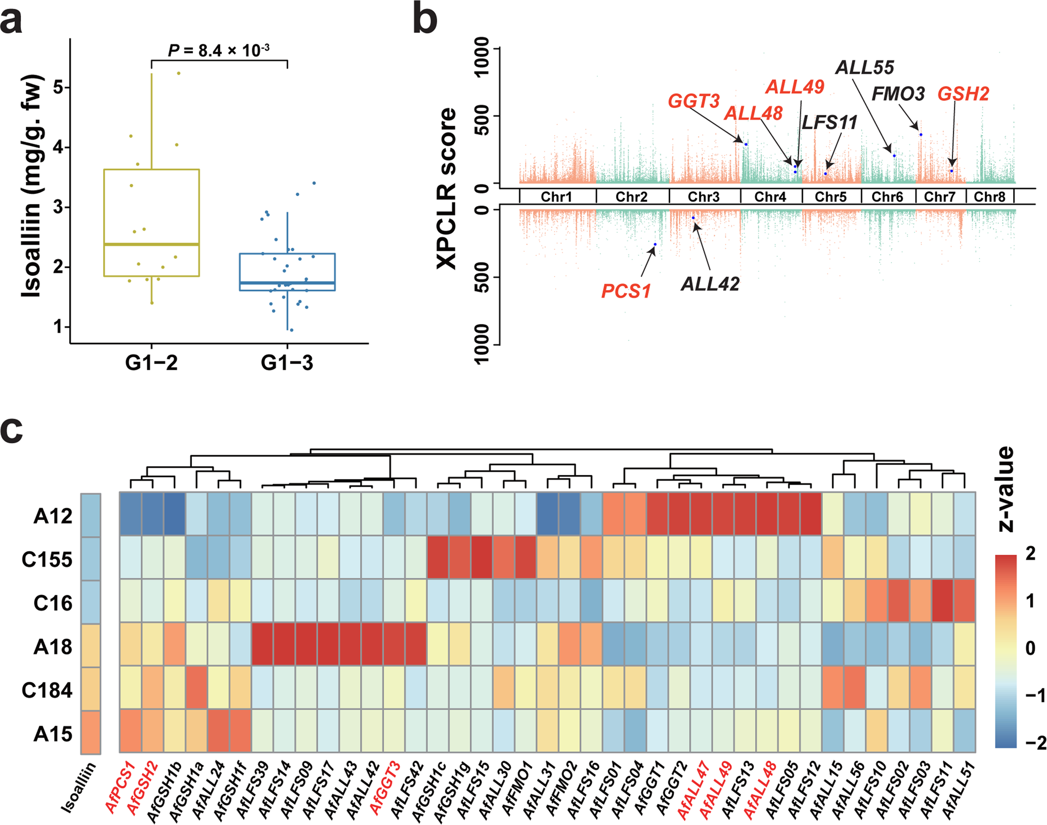 Fig. 7: Insights into the variation of isoalliin accumulations in bunching onion accessions.