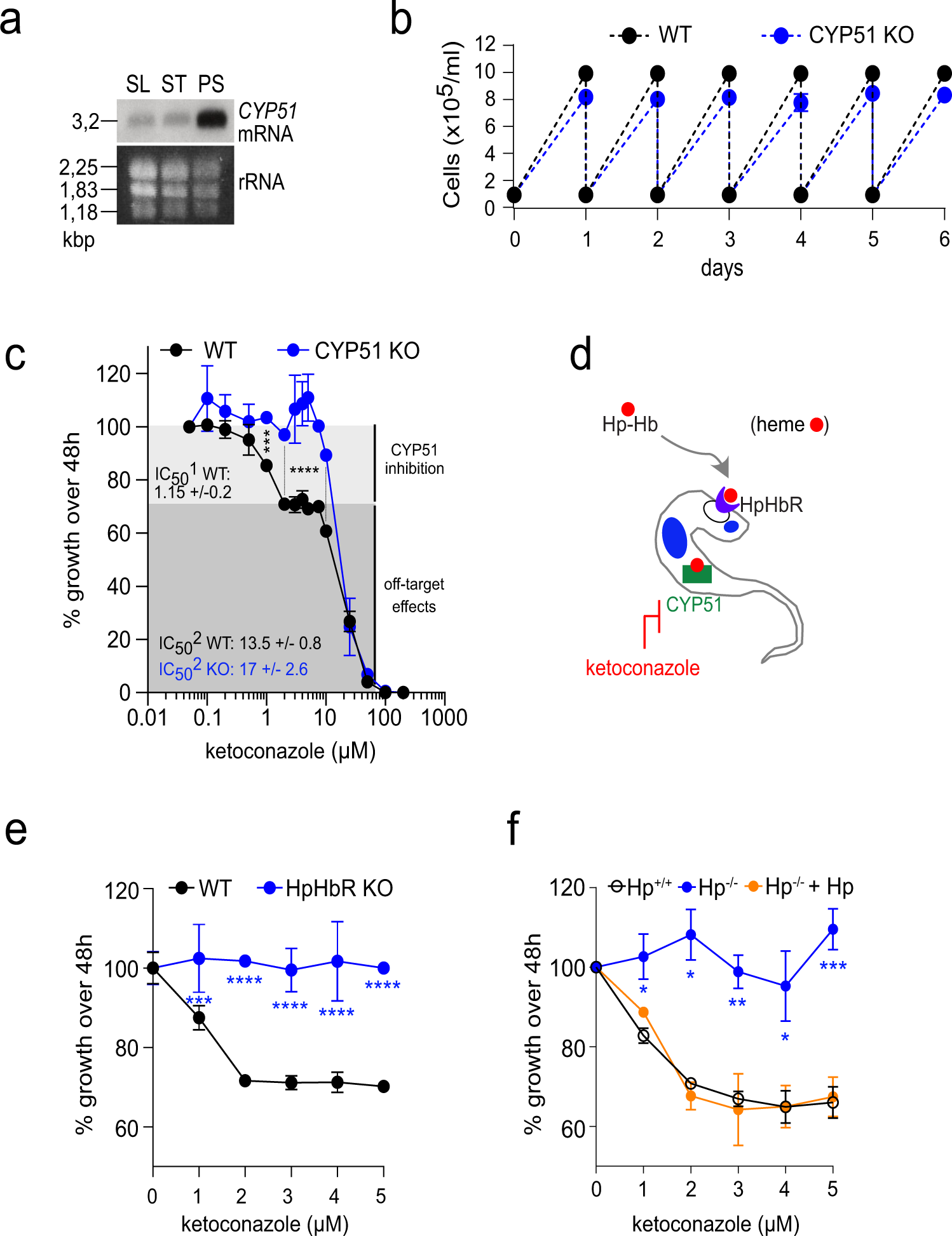 Fig. 2: Effect on growth and ketoconazole sensitivity after CYP51 invalidation in the bloodstream stage.