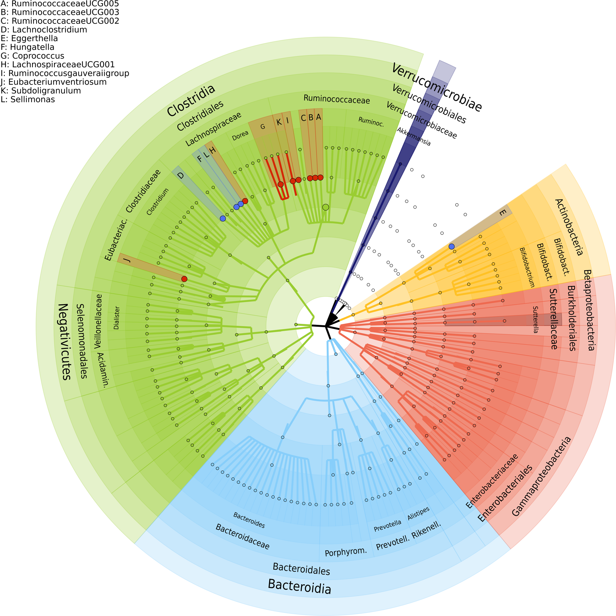 Analysing Your Content and What Metrics to Care About - TJ Creative