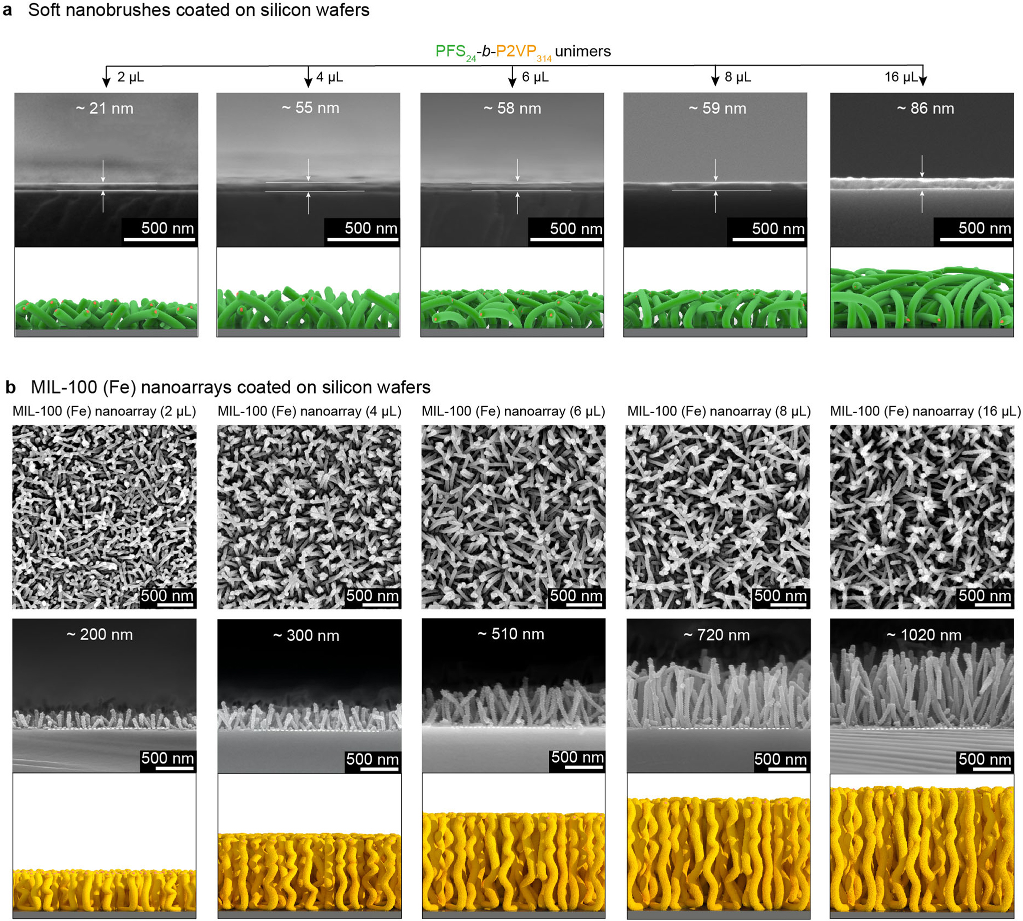 Fig. 3: Height regulation of MIL-100 (Fe) nanoarrays.