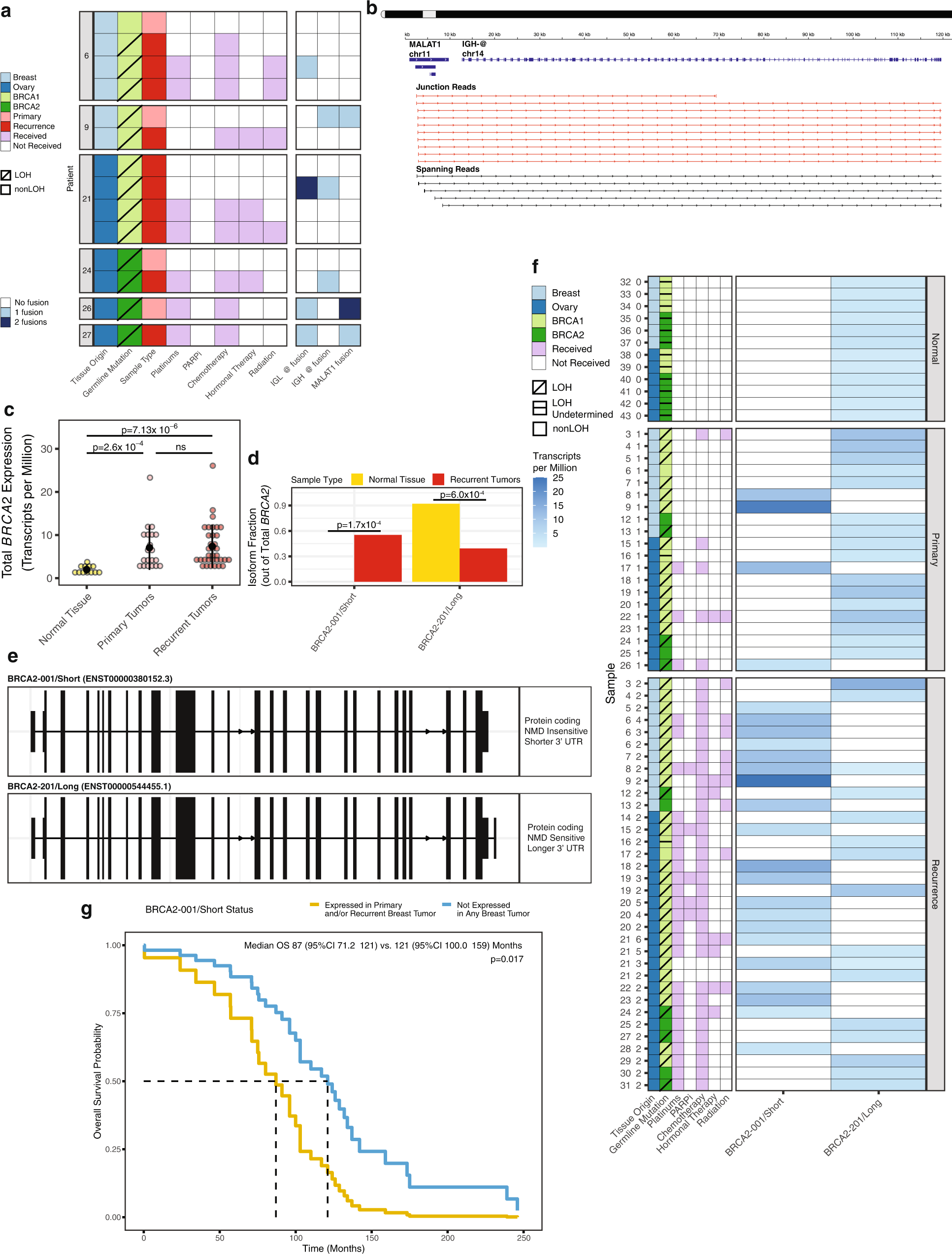 Fig. 4: Gene fusions and isoform switching detected by RNA sequencing.