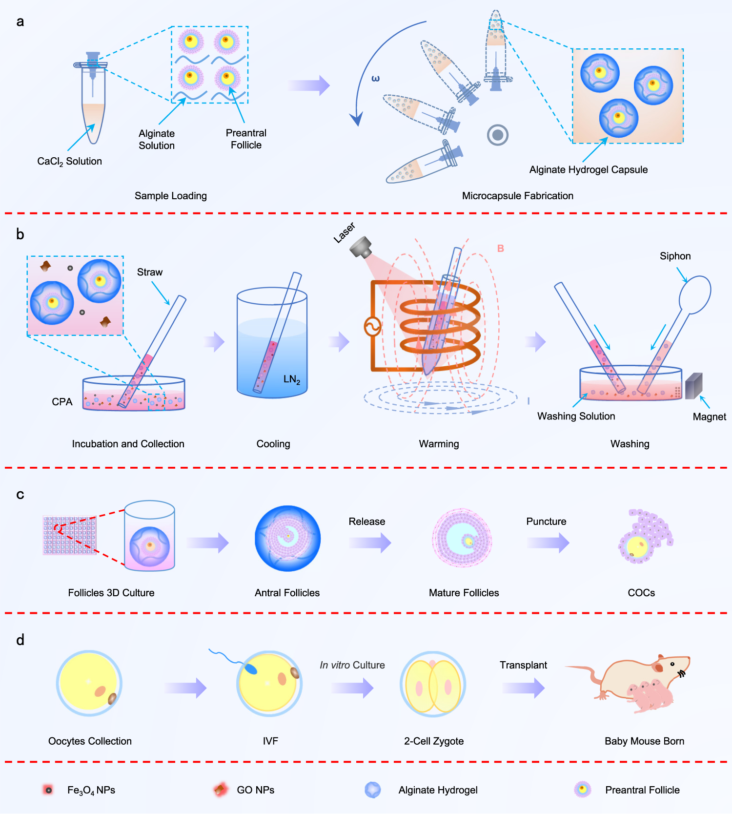 Vitrification and Warming Plates