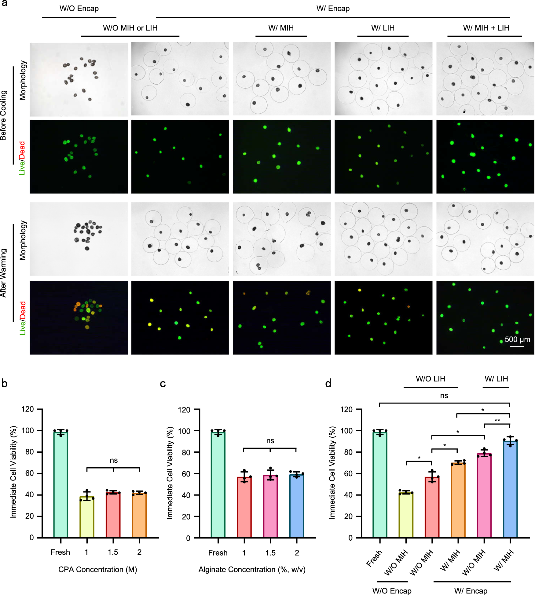 Fig. 3: Effect of MIH and LIH on PAFs during warming.