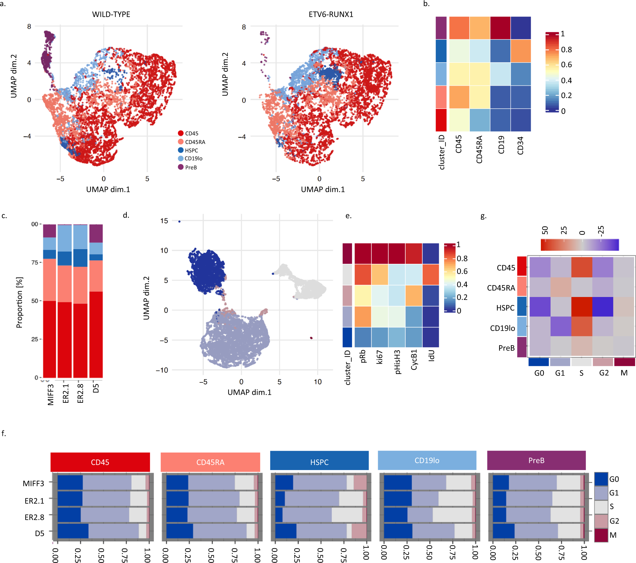 Fig. 3: Mass cytometry reveals an accumulation of ETV6-RUNX1 expressing progenitor cells in S phase.